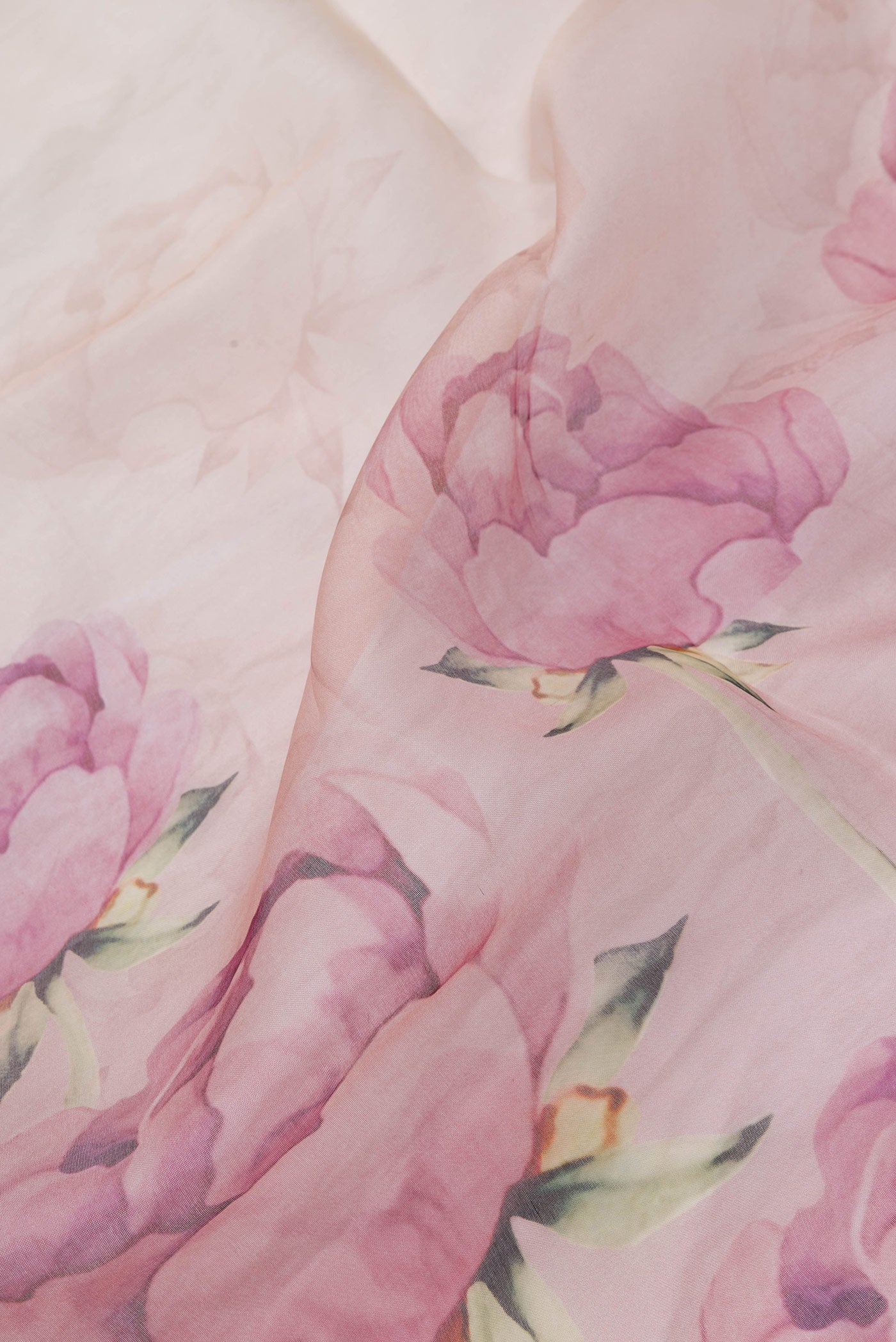 Close up of Golden Peach Dual Tone Organza Silk Saree with Printed design on the body and Without Border.  displaying folds