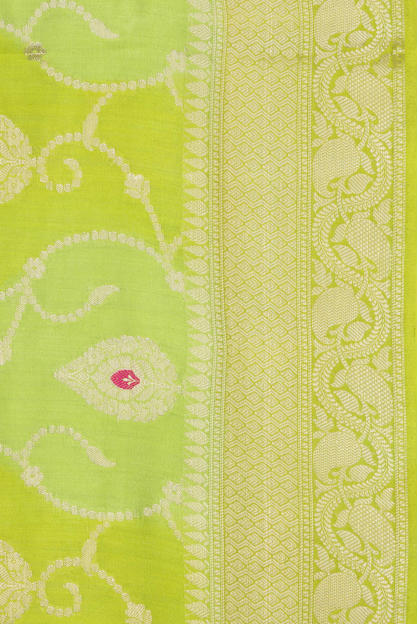 Border image of Parrot Green Dual Tone Tussar Silk Saree with Zari Brocade on the body and Zari Border. 