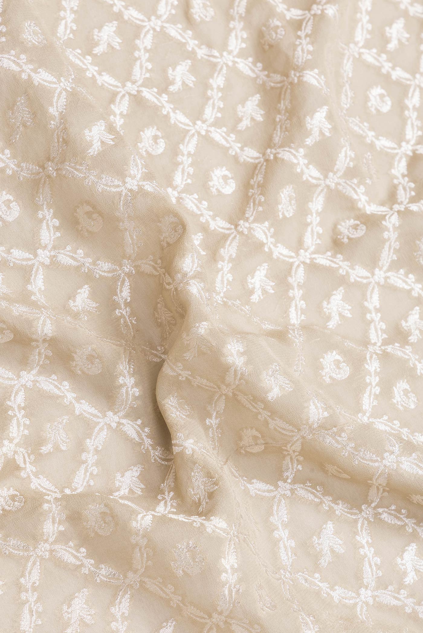 Close up of Beige Dual Tone Banarasi Georgette Saree with Zari Brocade on the body and Zari Border.  displaying folds