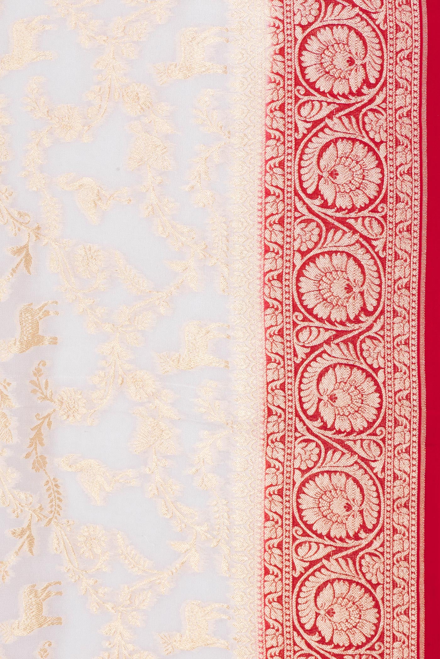 Border image of Beige Dual Tone Banarasi Georgette Saree with Zari Brocade on the body and Zari Border. 