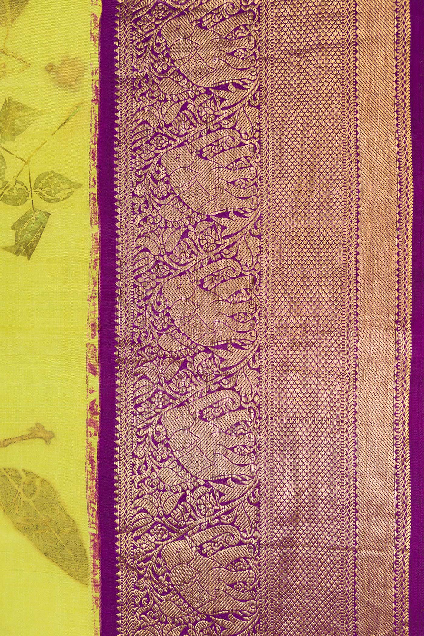 Border image of Parrot Green Dual Tone Kanchipuram Silk Saree with Printed design on the body and Zari Border. 