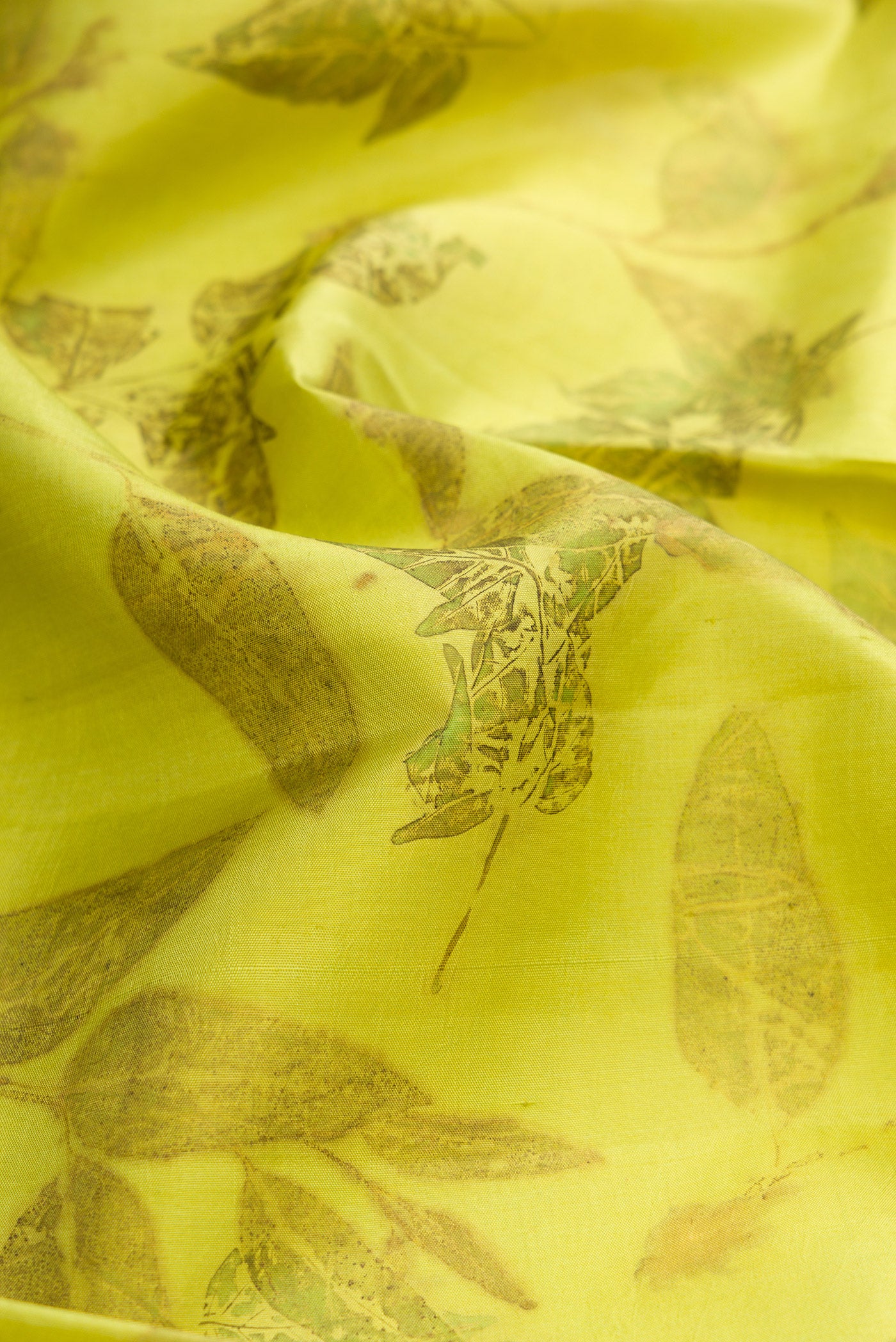 Close up of Parrot Green Dual Tone Kanchipuram Silk Saree with Printed design on the body and Zari Border.  displaying folds