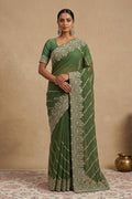 Model wearing a Green Organza Silk Saree with Embroidery on the body and Embroidery Border.