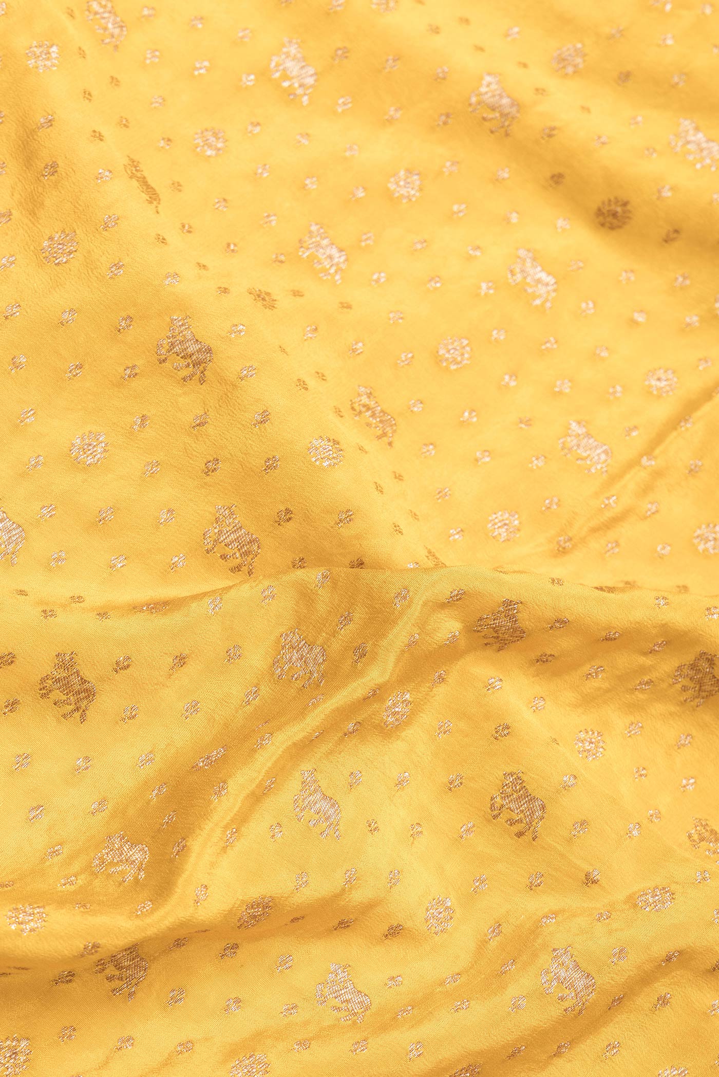 Close up of Yellow Dual Tone Banarasi Georgette Saree with Zari Brocade on the body and Zari Border.  displaying folds