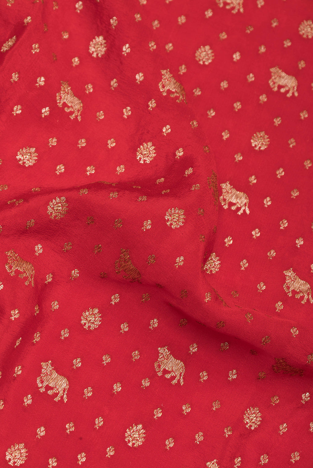 Close up of Red Banarasi Georgette Saree with Zari Brocade on the body and Zari Border.  displaying folds