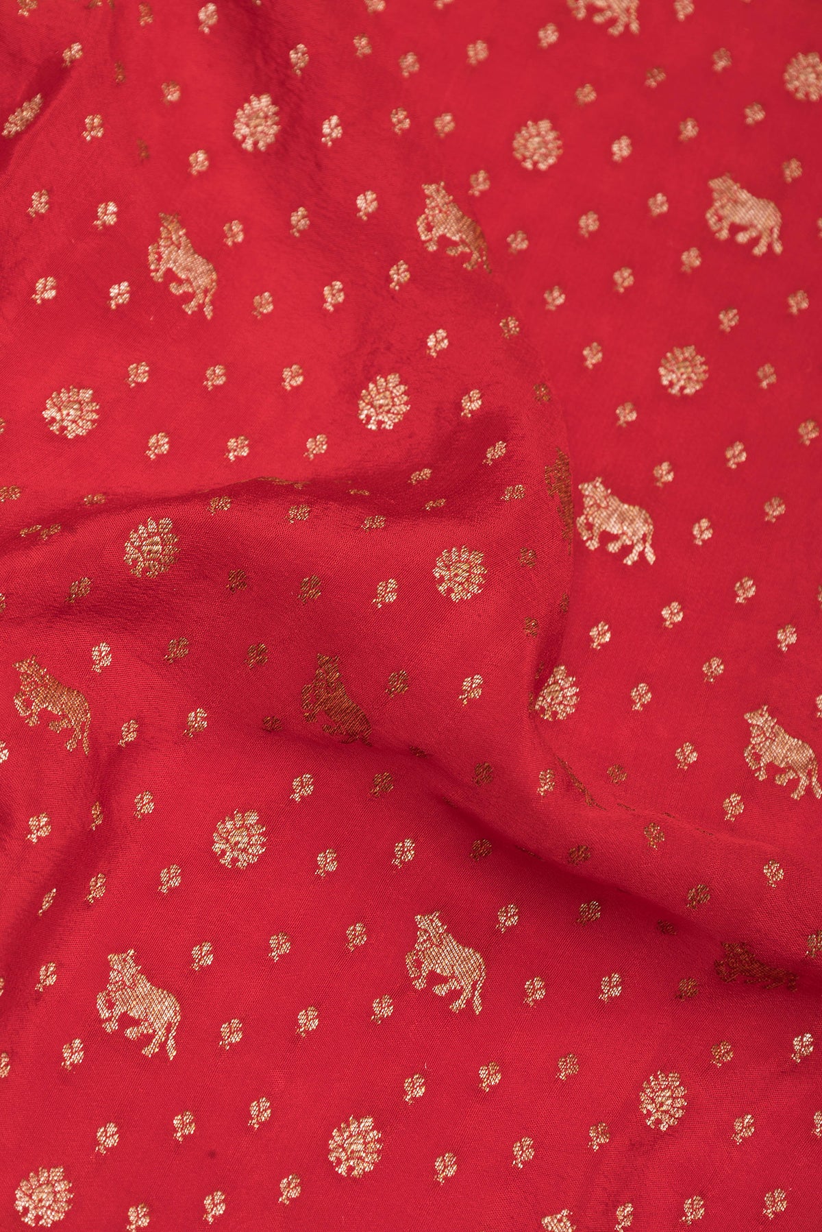 Close up of Red Banarasi Georgette Saree with Zari Brocade on the body and Zari Border.  displaying folds