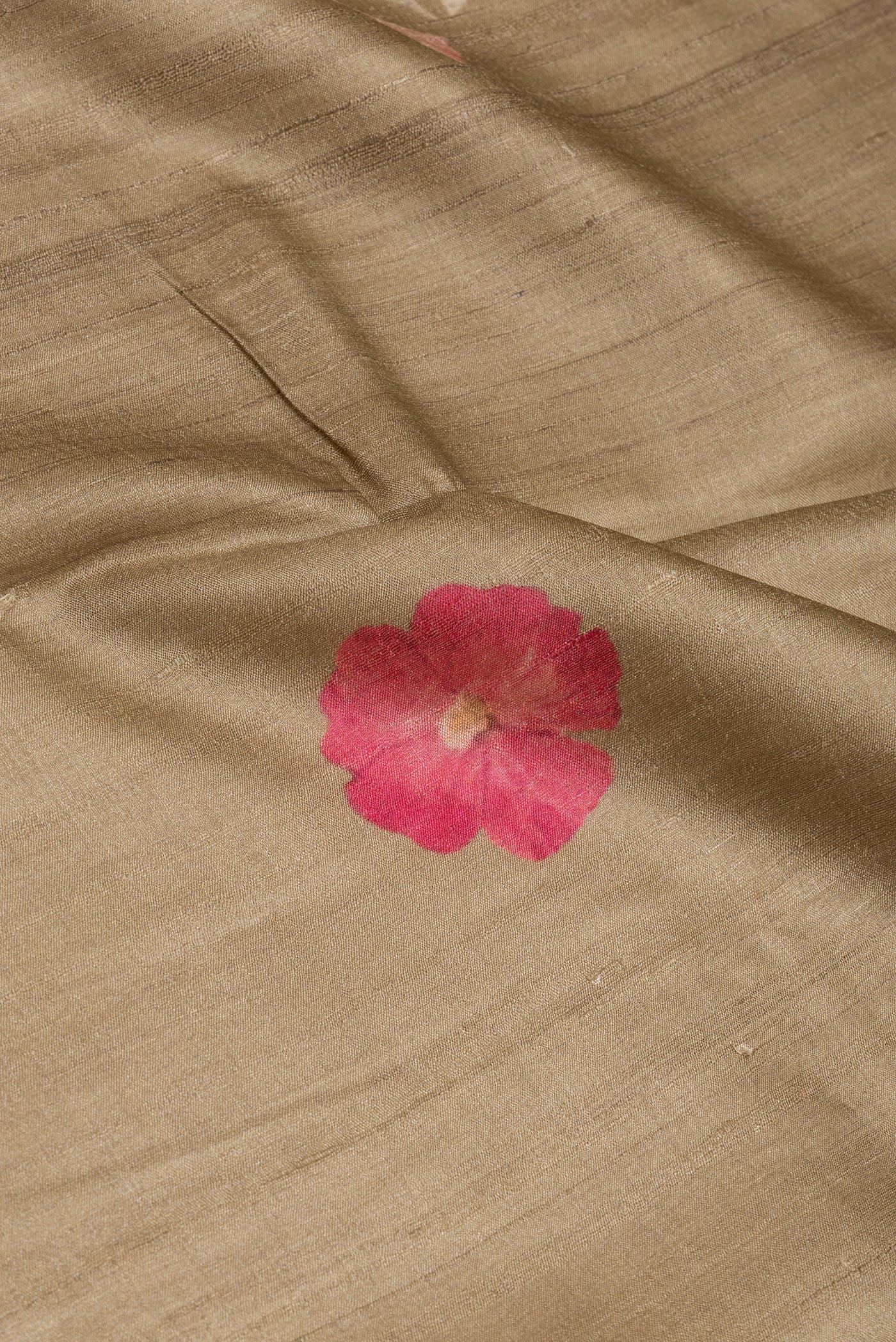 Close up of Dark Beige Tussar Silk Saree with Printed design on the body and Zari Border.  displaying folds