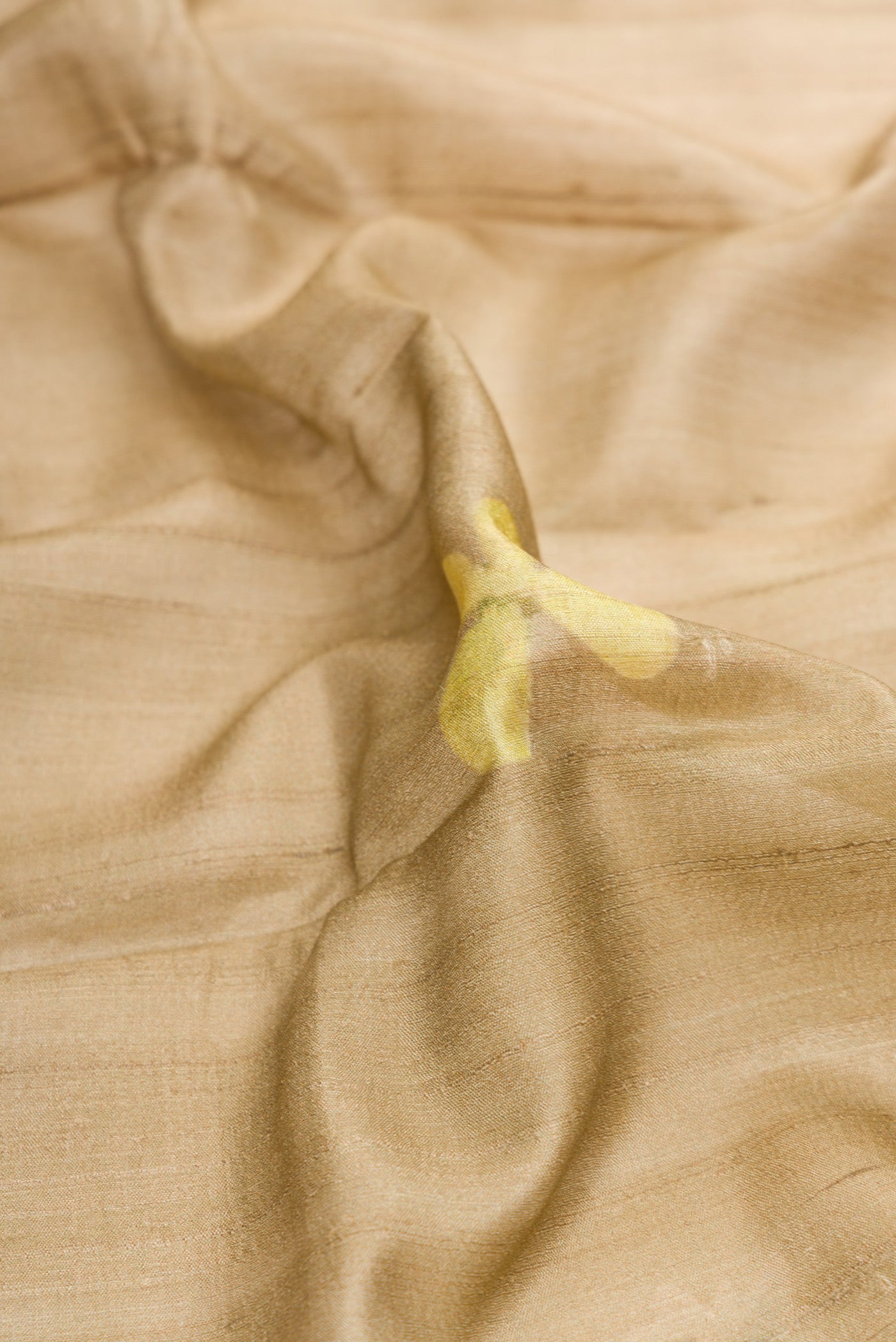 Close up of Light Green Dual Tone Tussar Silk Saree with Printed design on the body and Zari Border.  displaying folds