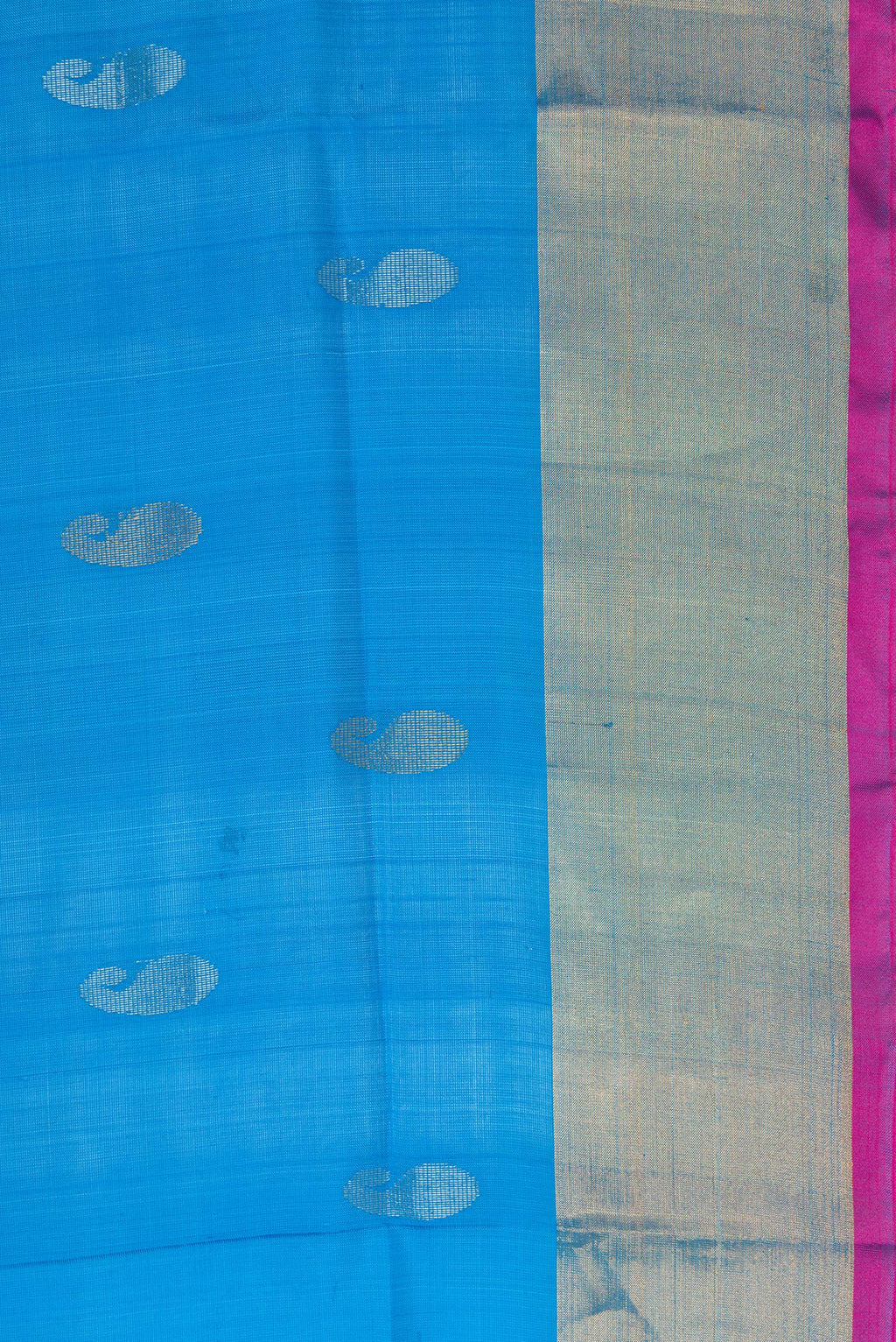 Border image of Peacock Blue Dual Tone Uppada Silk Saree with Zari Butta on the body and Zari Border. 