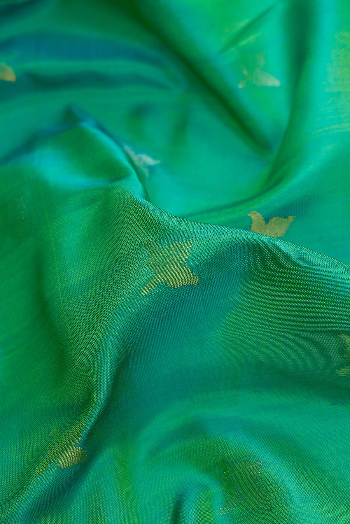 Close up of Green Dual Tone Uppada Silk Saree with Zari Butta on the body and Zari Border.  displaying folds