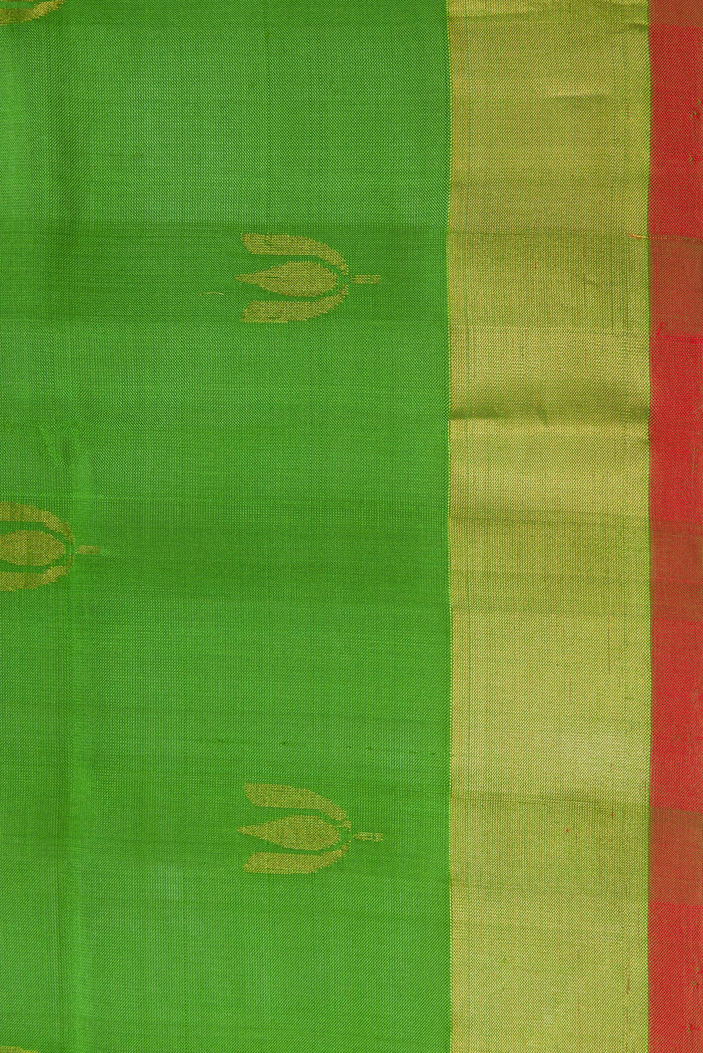 Border image of Green Dual Tone Soft Silk Saree with Zari Butta on the body and Zari Border. 