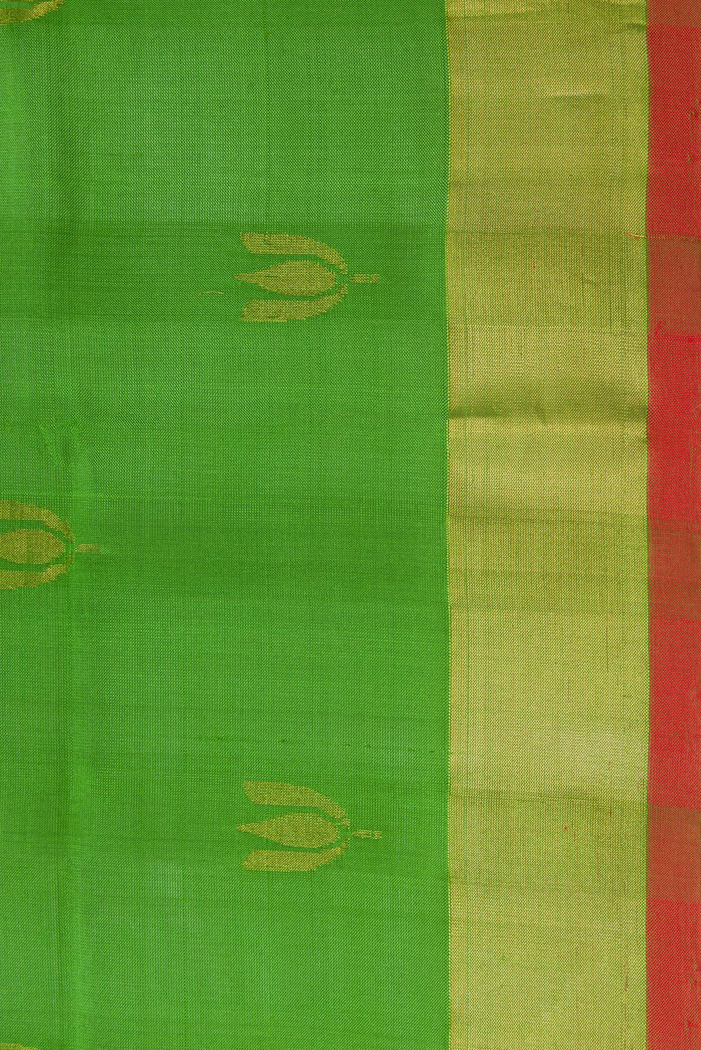 Border image of Green Dual Tone Soft Silk Saree with Zari Butta on the body and Zari Border. 