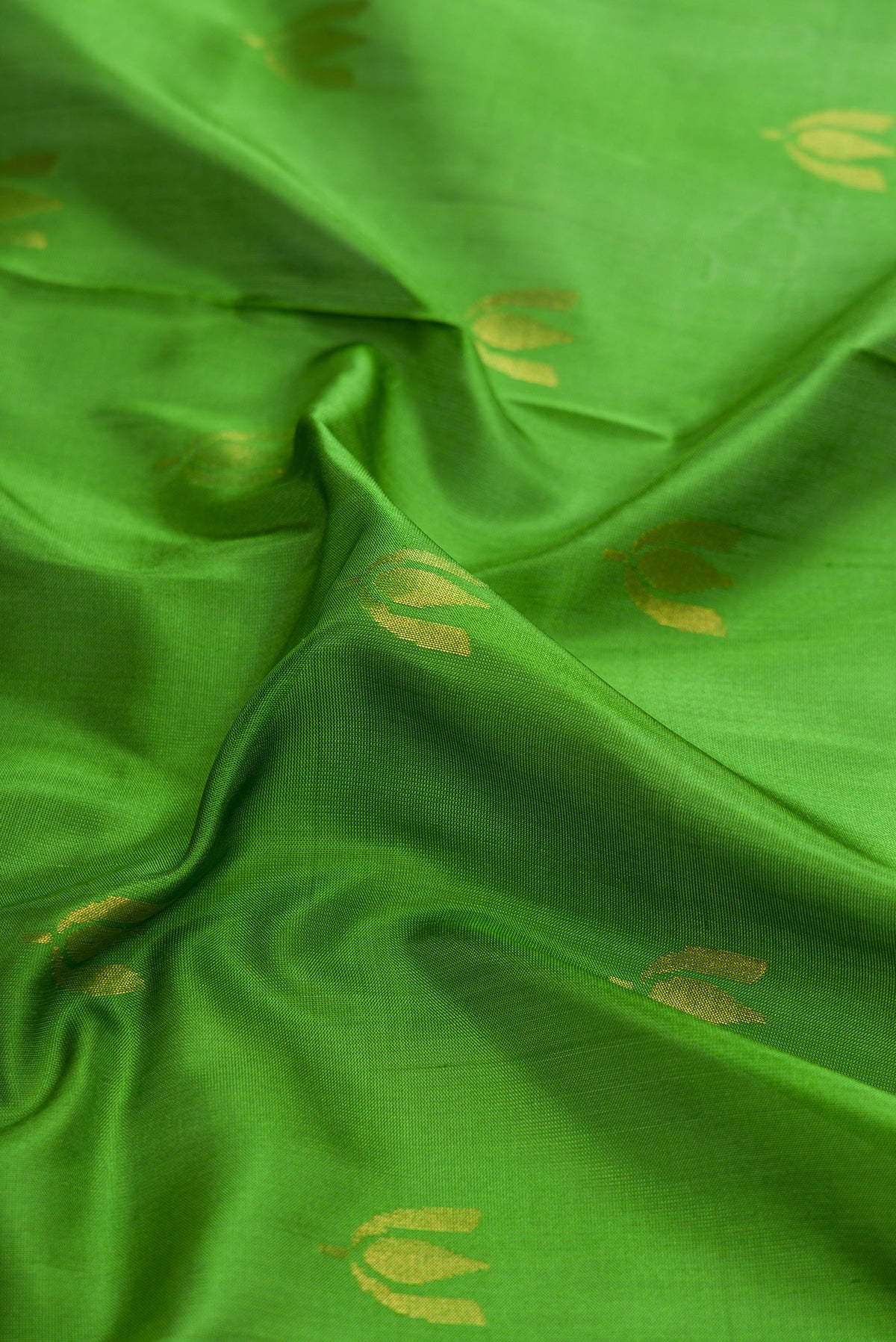 Close up of Green Dual Tone Soft Silk Saree with Zari Butta on the body and Zari Border.  displaying folds