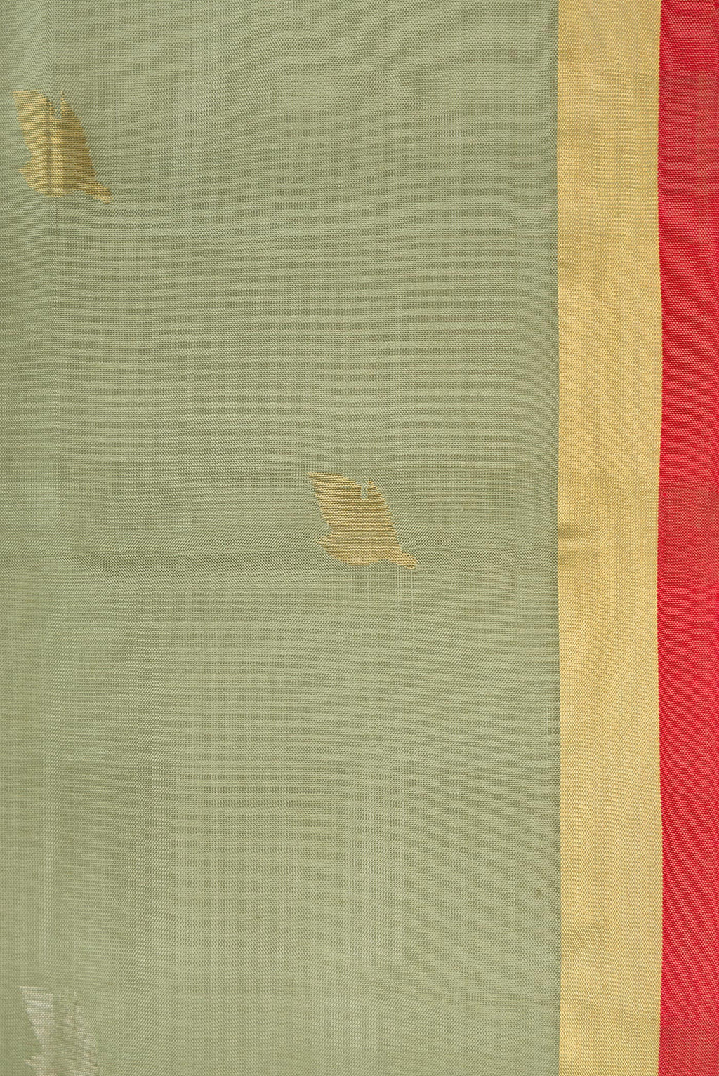 Border image of Light Green Dual Tone Soft Silk Saree with Zari Butta on the body and Zari Border. 