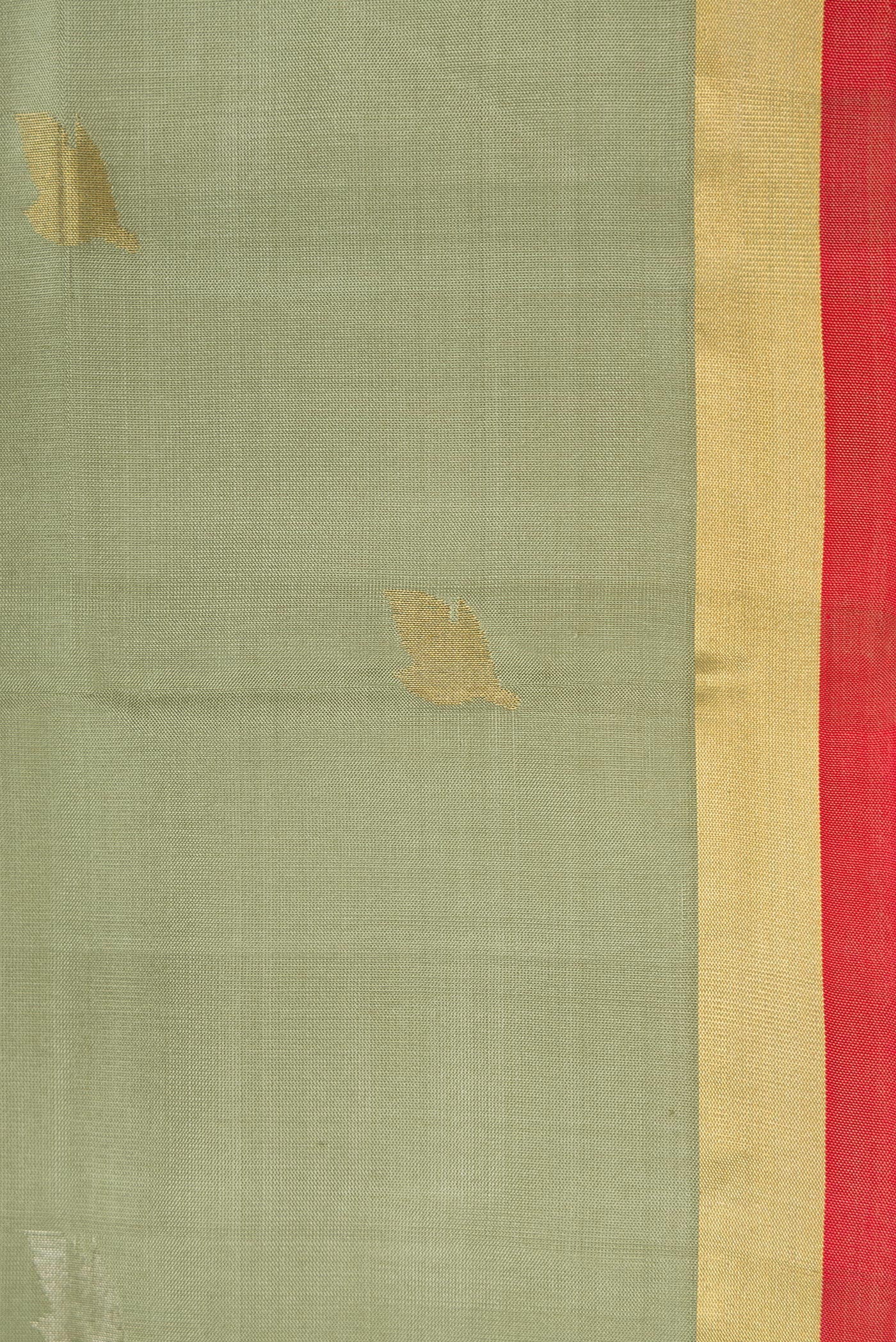 Border image of Light Green Dual Tone Soft Silk Saree with Zari Butta on the body and Zari Border. 