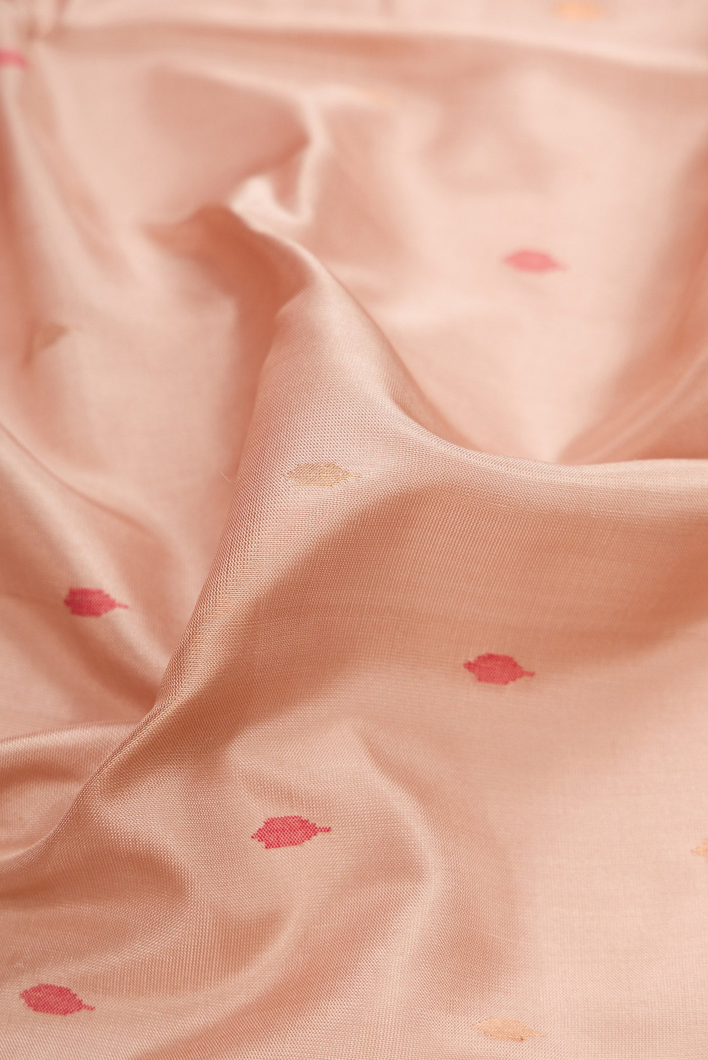 Close up of Dark Beige Dual Tone Uppada Silk Saree with Zari And Thread Butta on the body and Zari Border.  displaying folds