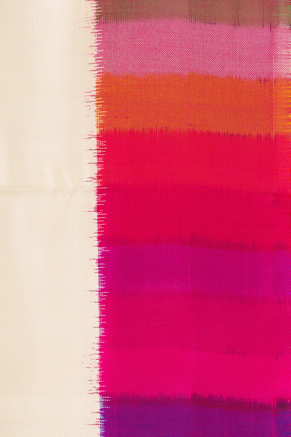 Border image of Off White Dual Tone Double Ikat Saree with Plain Body and Ikat Border. 
