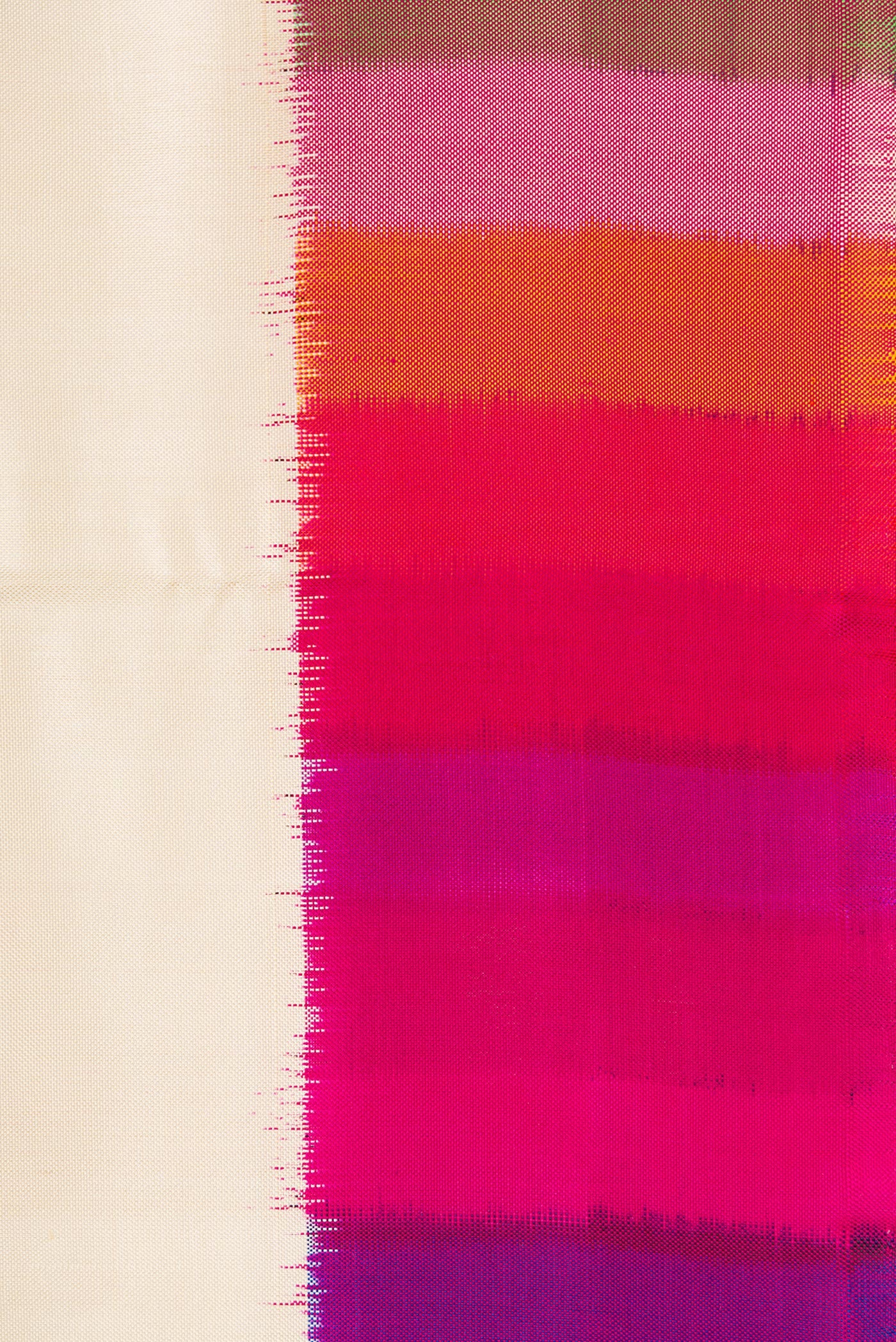 Border image of Off White Dual Tone Double Ikat Saree with Plain Body and Ikat Border. 