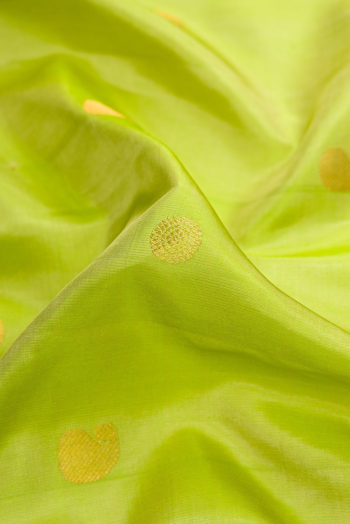 Close up of Light Green Dual Tone Gadwal Silk Saree with Zari Butta on the body and Temple Border.  displaying folds