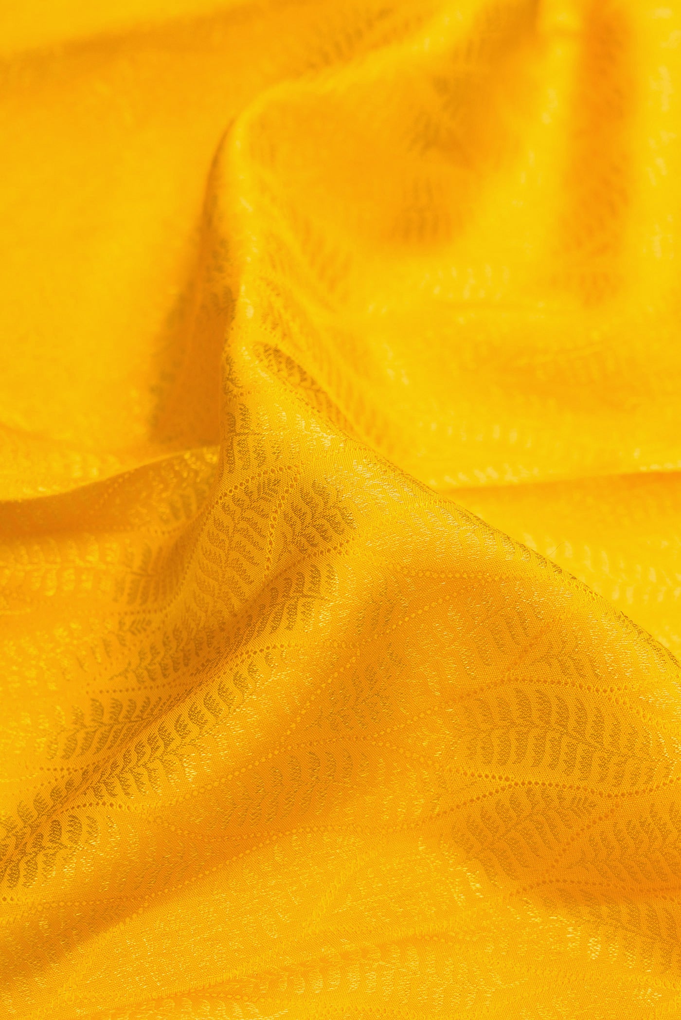 Close up of Yellow Dual Tone Kanchipuram Silk Saree with Zari Brocade on the body and Zari Border.  displaying folds