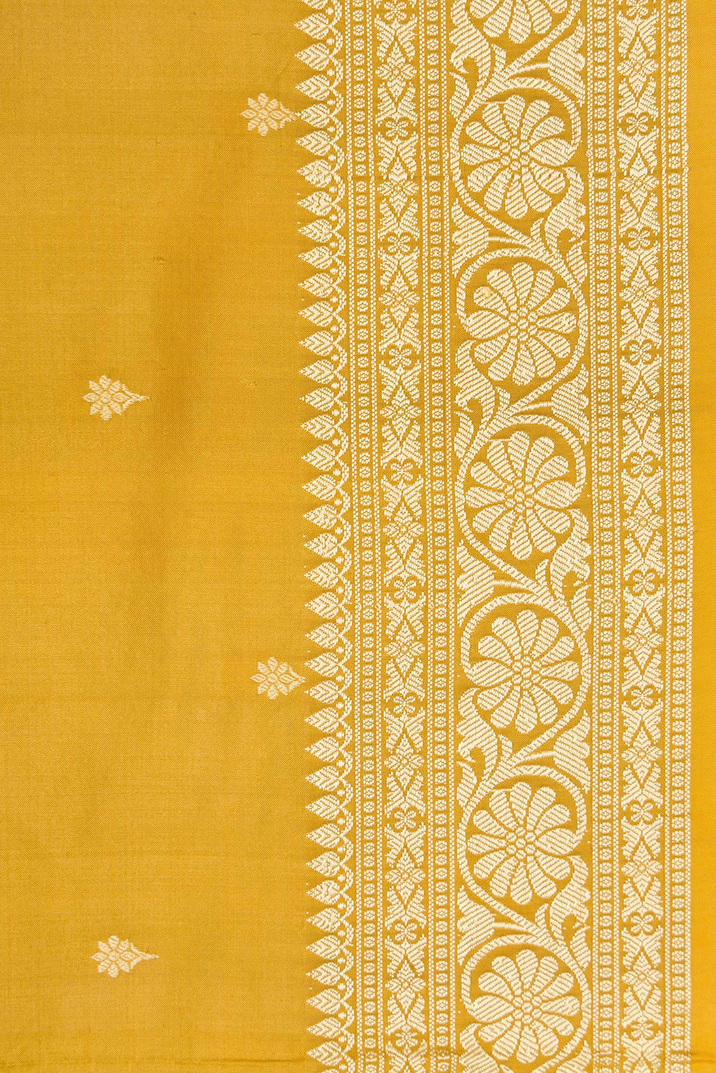 Border image of Gold Dual Tone Banarasi Silk Saree with Thread Butta on the body and Thread Border. 