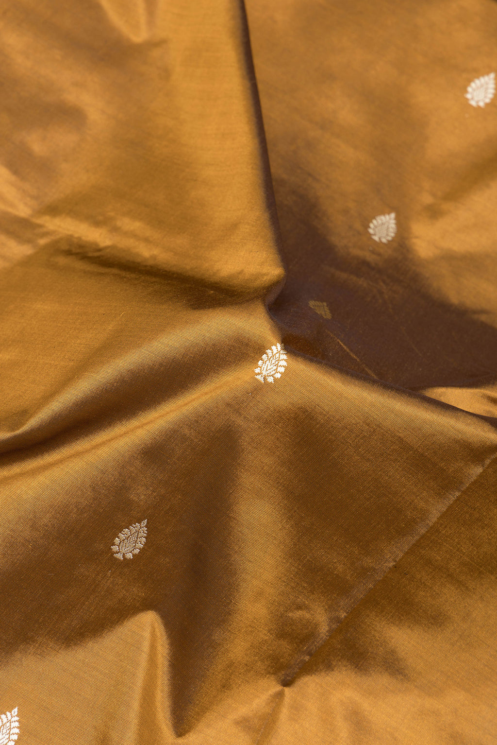Close up of Brown Banarasi Silk Saree with Thread Butta on the body and Thread Border.  displaying folds
