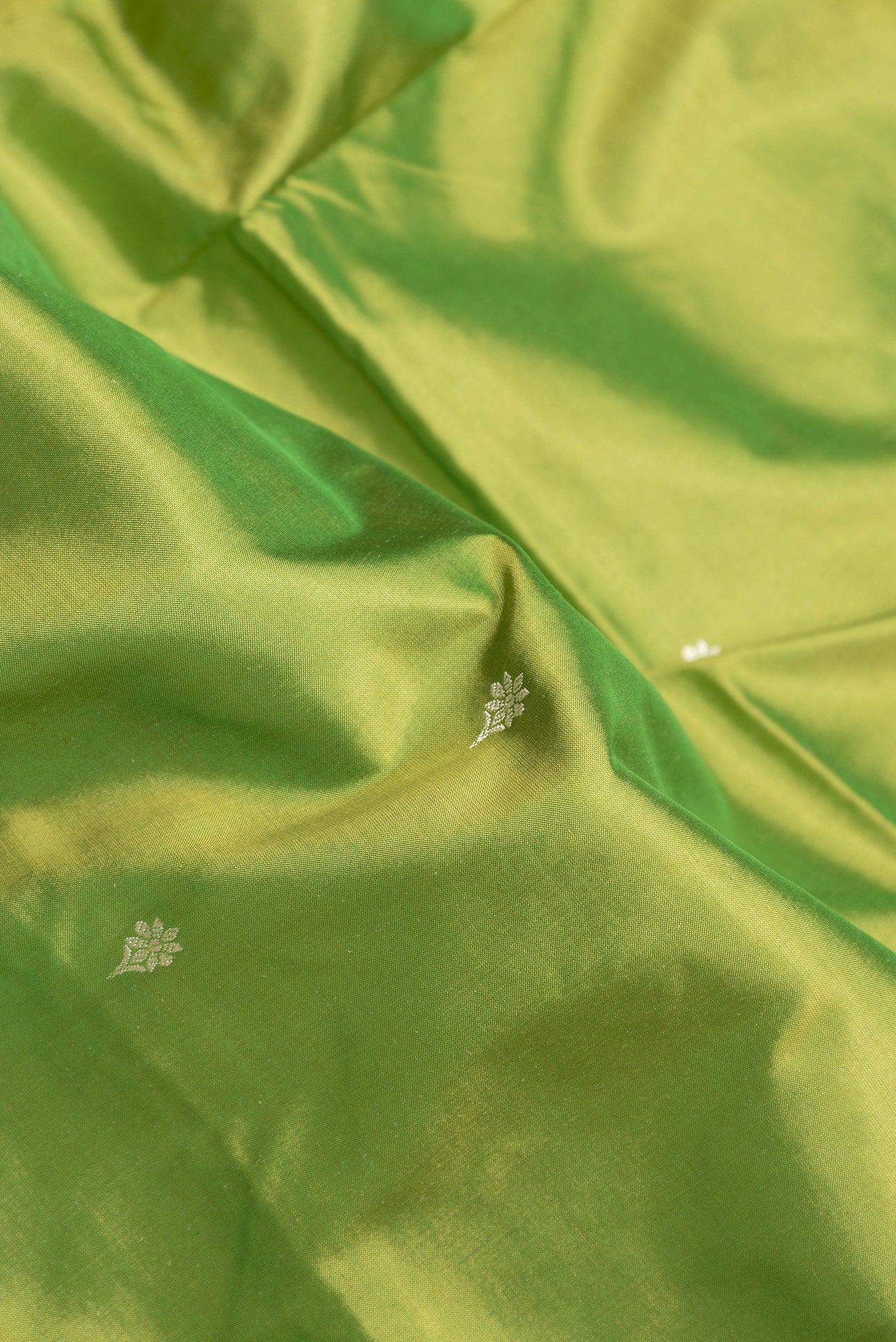 Close up of Parrot Green Dual Tone Banarasi Silk Saree with Thread Butta on the body and Thread Border.  displaying folds