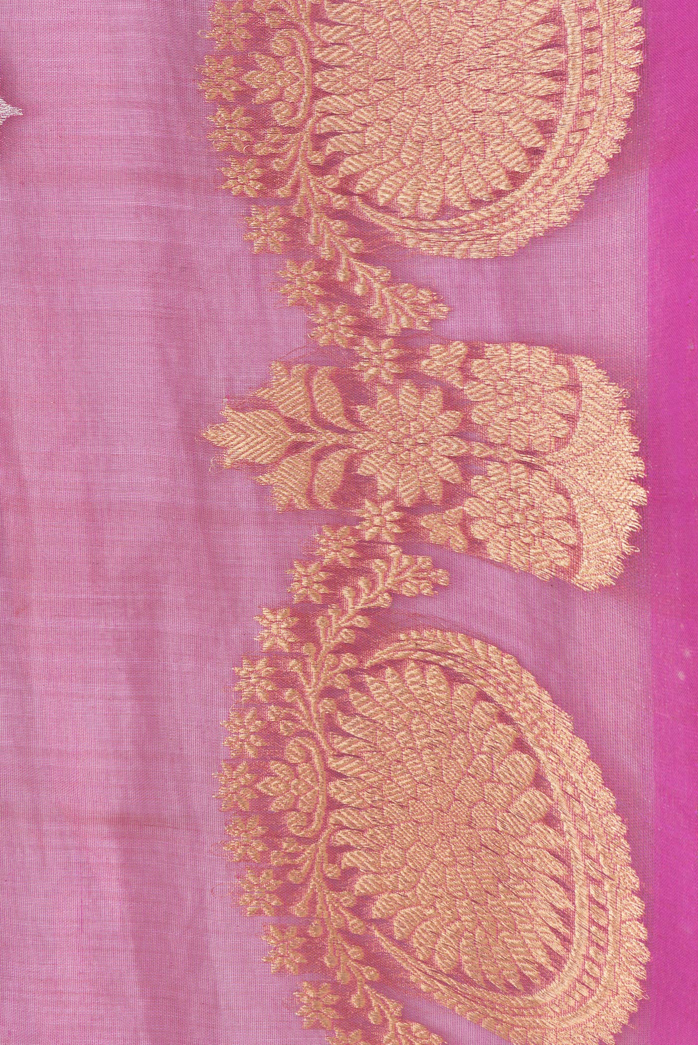 Border image of Dark Pink Dual Tone Organza Silk Saree with Zari Butta on the body and Fancy Border. 