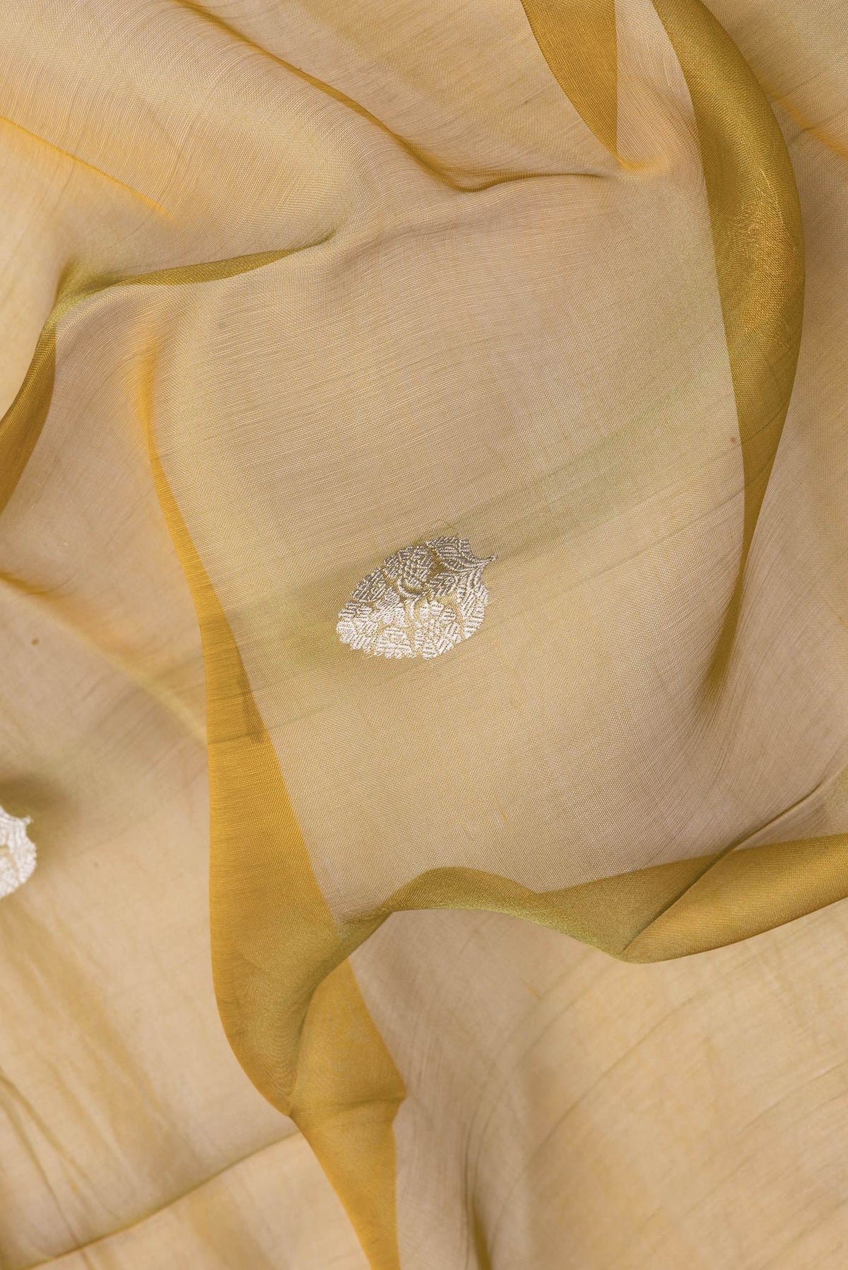 Close up of Gold Dual Tone Organza Silk Saree with Zari Butta on the body and Zari Border.  displaying folds