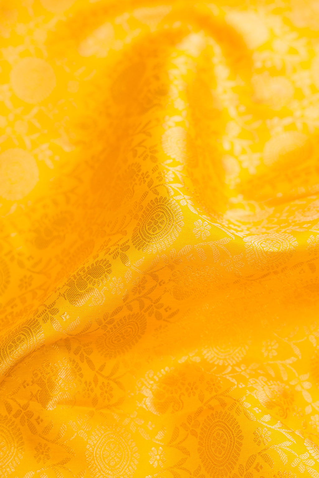 Close up of Yellow Dual Tone Kanjivaram Silk Saree with Zari Brocade on the body and Zari Border.  displaying folds