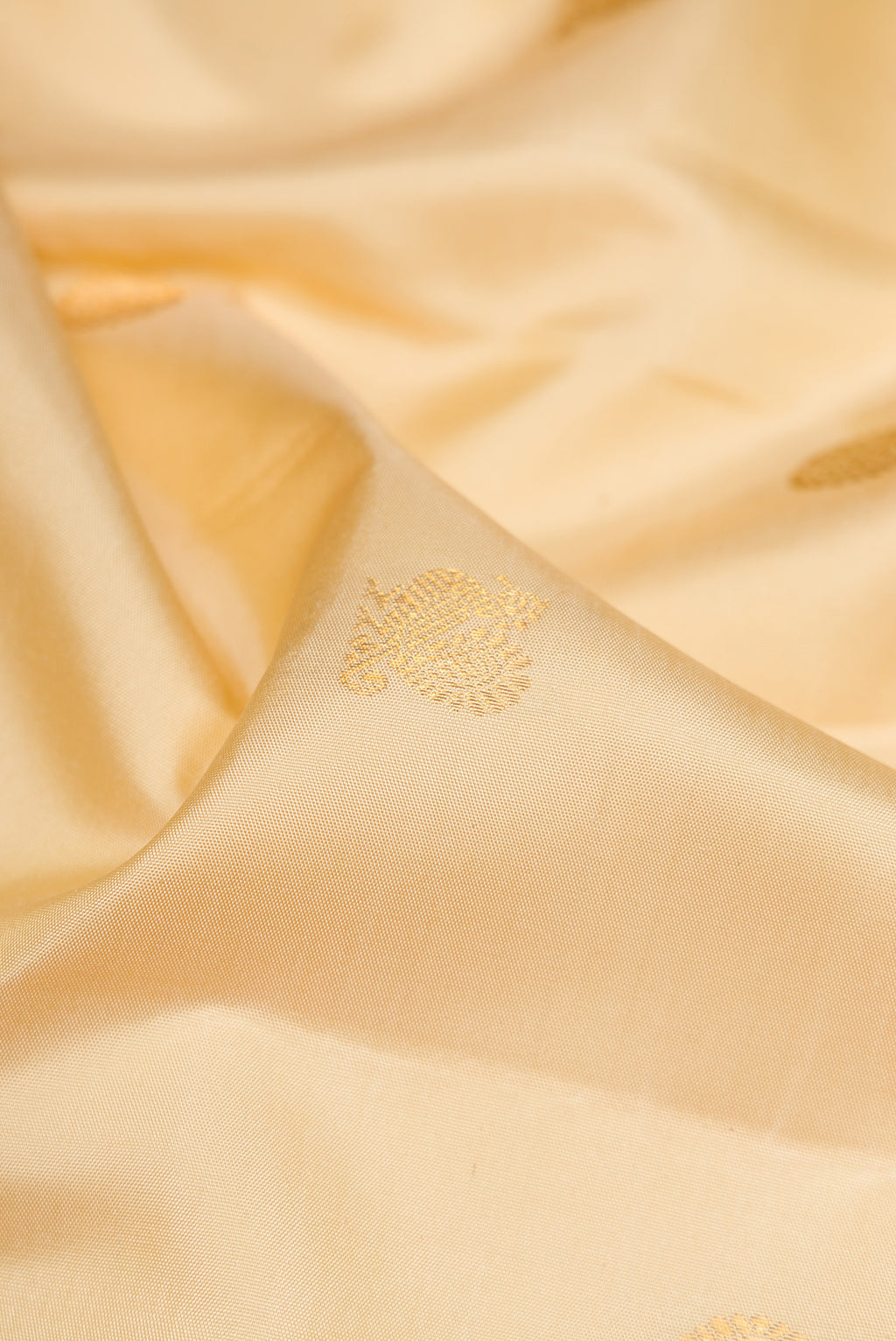 Close up of Sandal Kanjivaram Silk Nine Yards Saree with Zari Butta on the body and Zari Border.  displaying folds