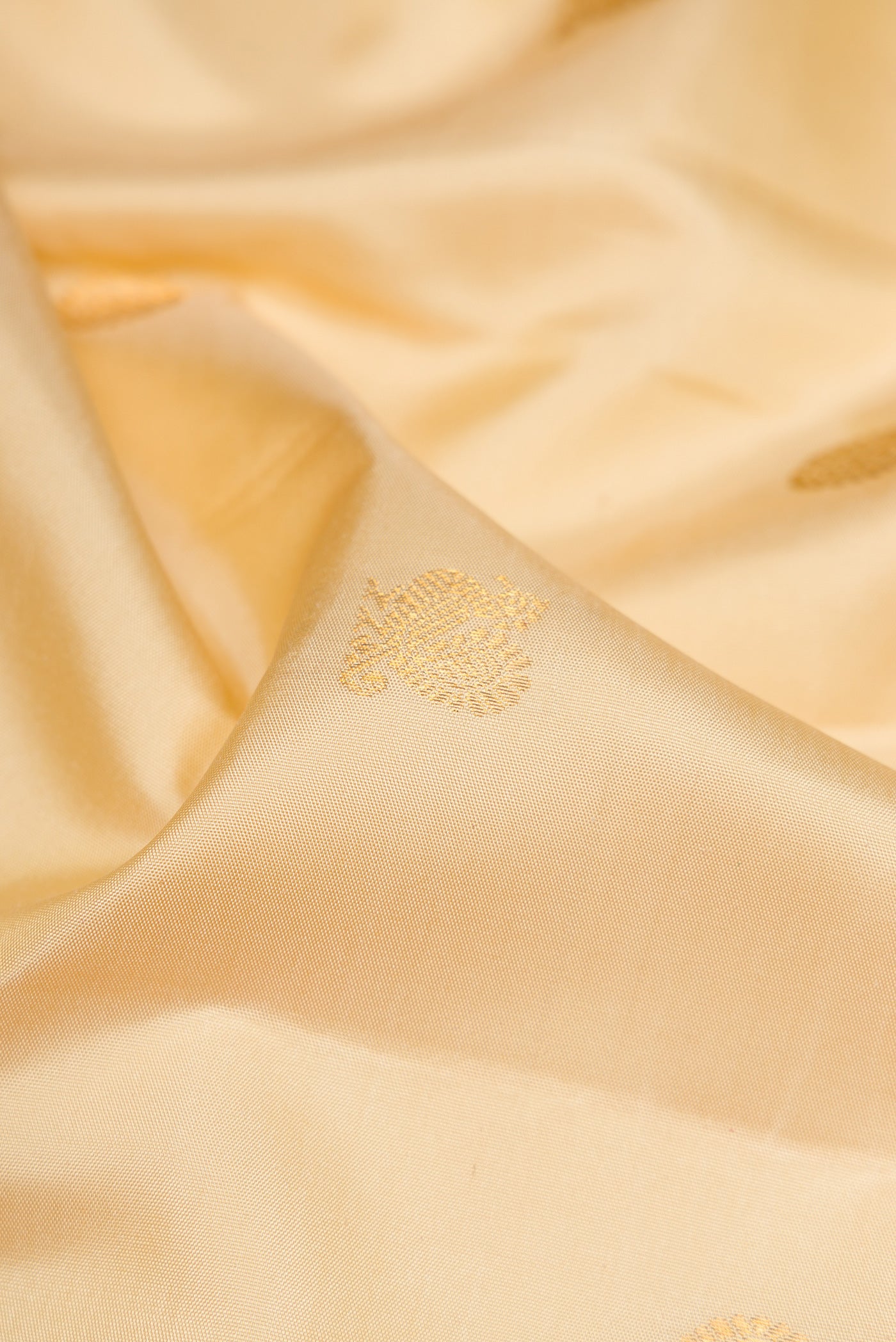 Close up of Sandal Kanjivaram Silk Nine Yards Saree with Zari Butta on the body and Zari Border.  displaying folds