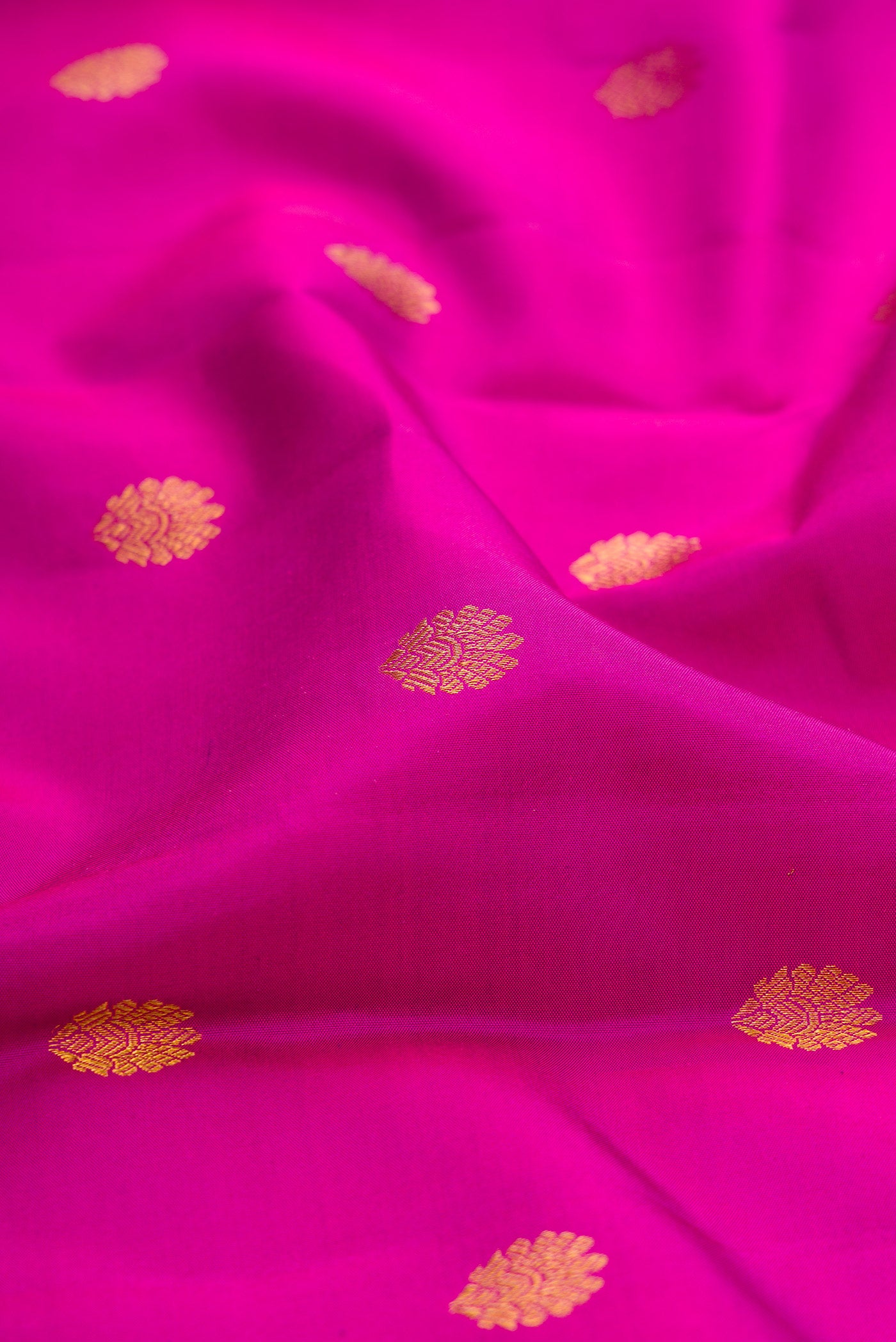 Close up of Magenta Kanchipuram Silk Saree with Zari Butta on the body and Fancy Border.  displaying folds