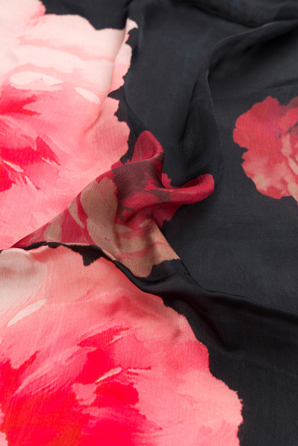 Close up of Black Dual Tone Organza Silk Saree with Printed design on the body and Embroidery Border.  displaying folds