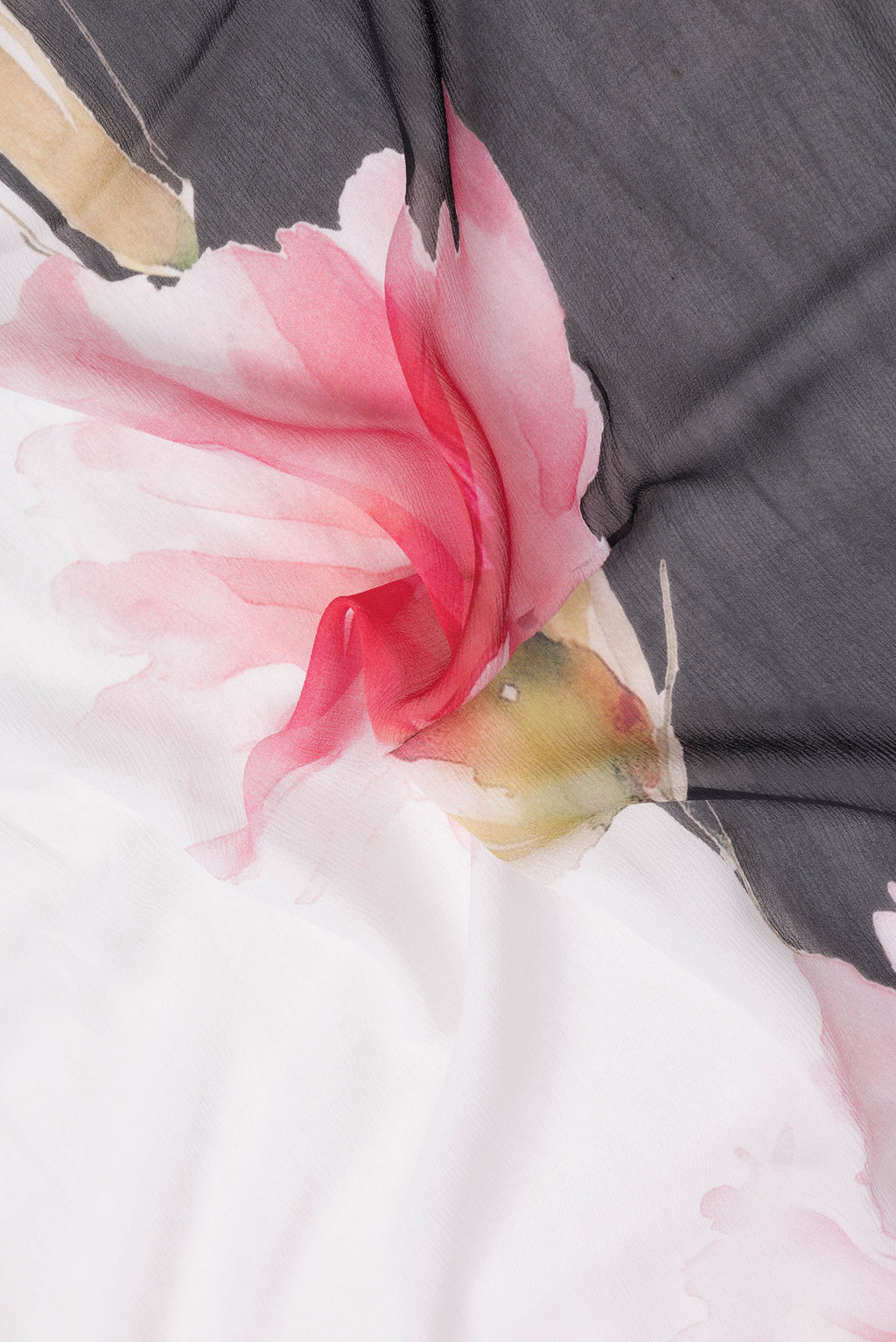 Close up of White Dual Tone Mysore Chiffon Saree with Printed design on the body and Without Border.  displaying folds
