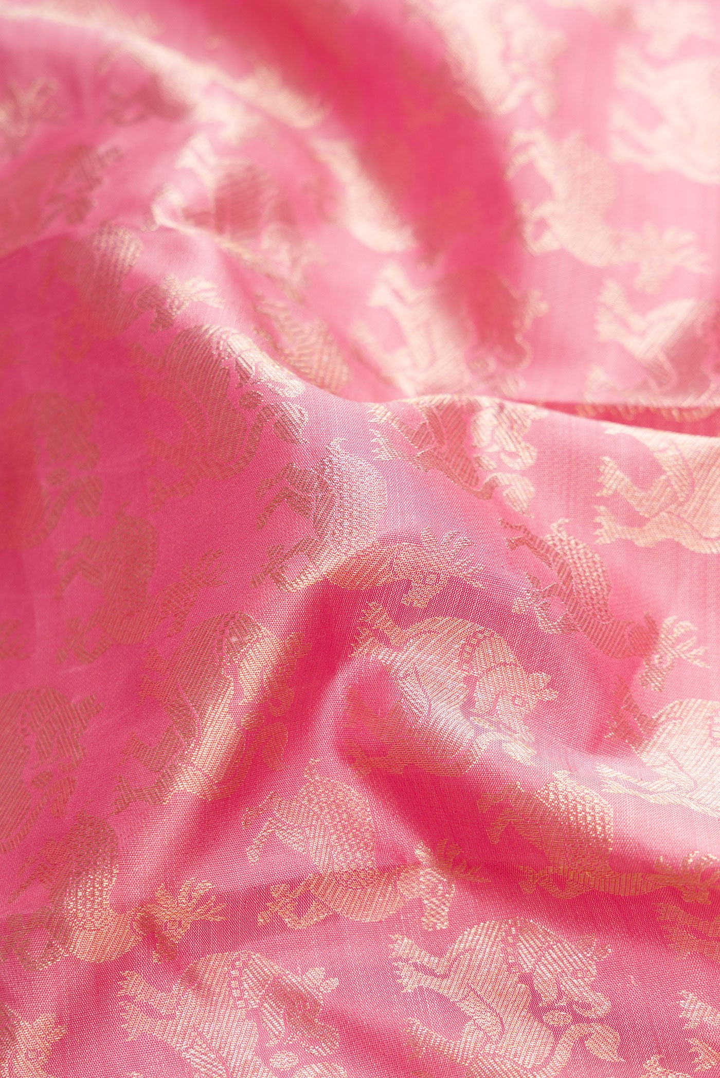 Close up of Pink Dual Tone Kanchipuram Silk Saree with Zari Brocade on the body and Zari Border.  displaying folds
