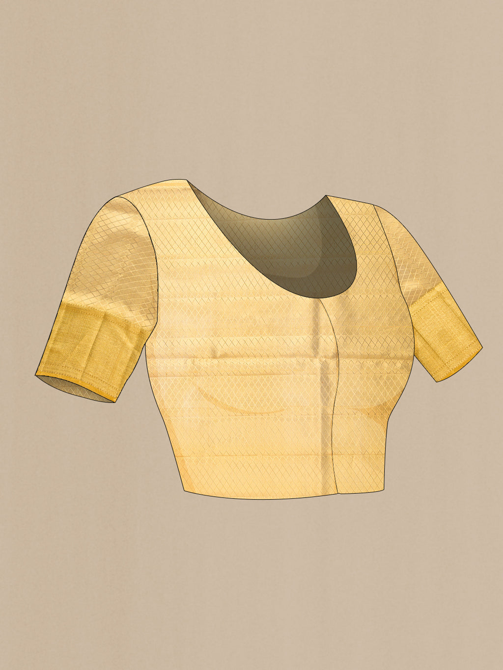 Close up image of the blouse of Gold Dual Tone Kanjivaram Tissue Silk Saree with Zari Brocade on the body and Zari Border. 