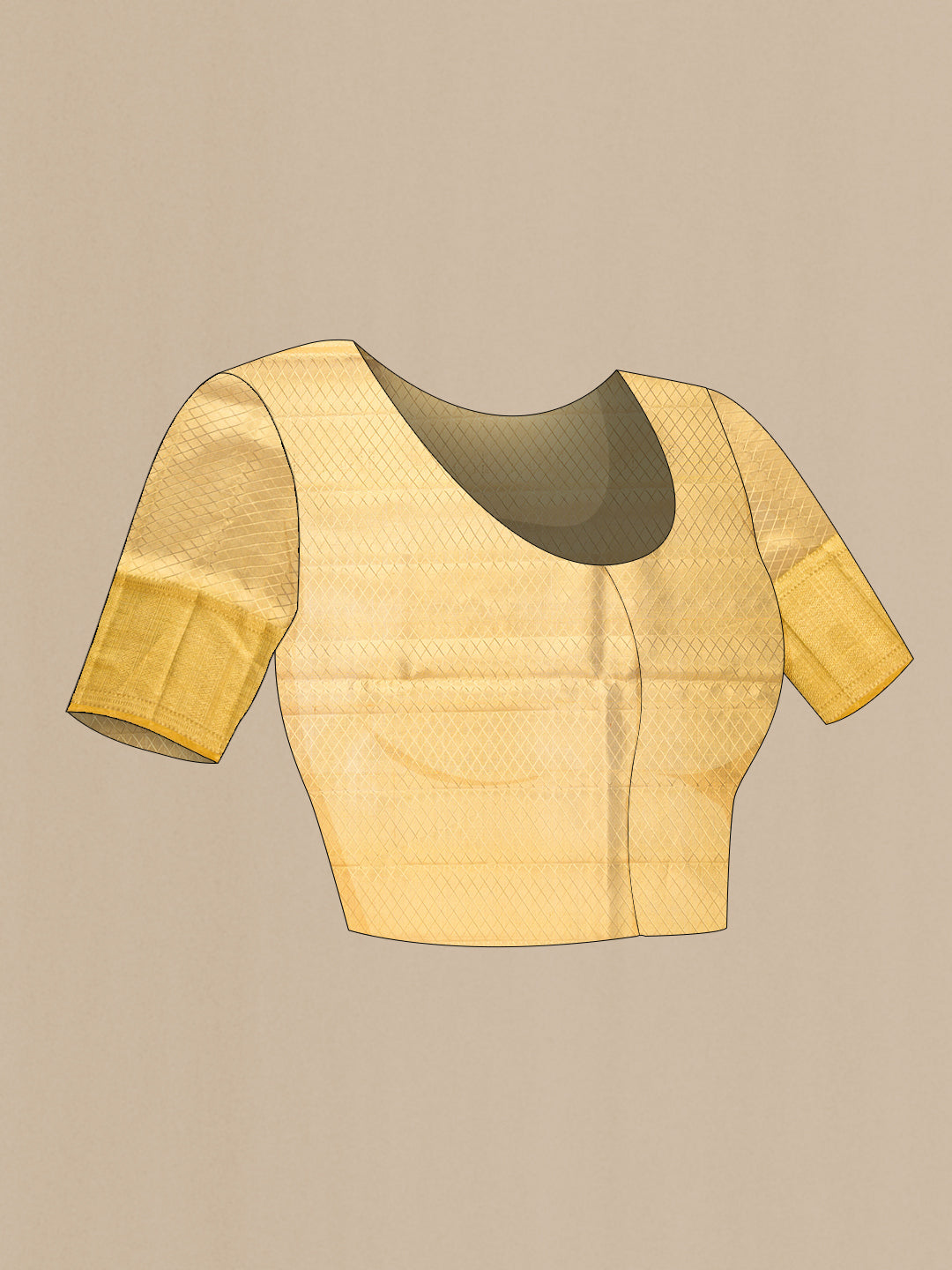 Close up image of the blouse of Gold Dual Tone Kanjivaram Tissue Silk Saree with Zari Brocade on the body and Zari Border. 