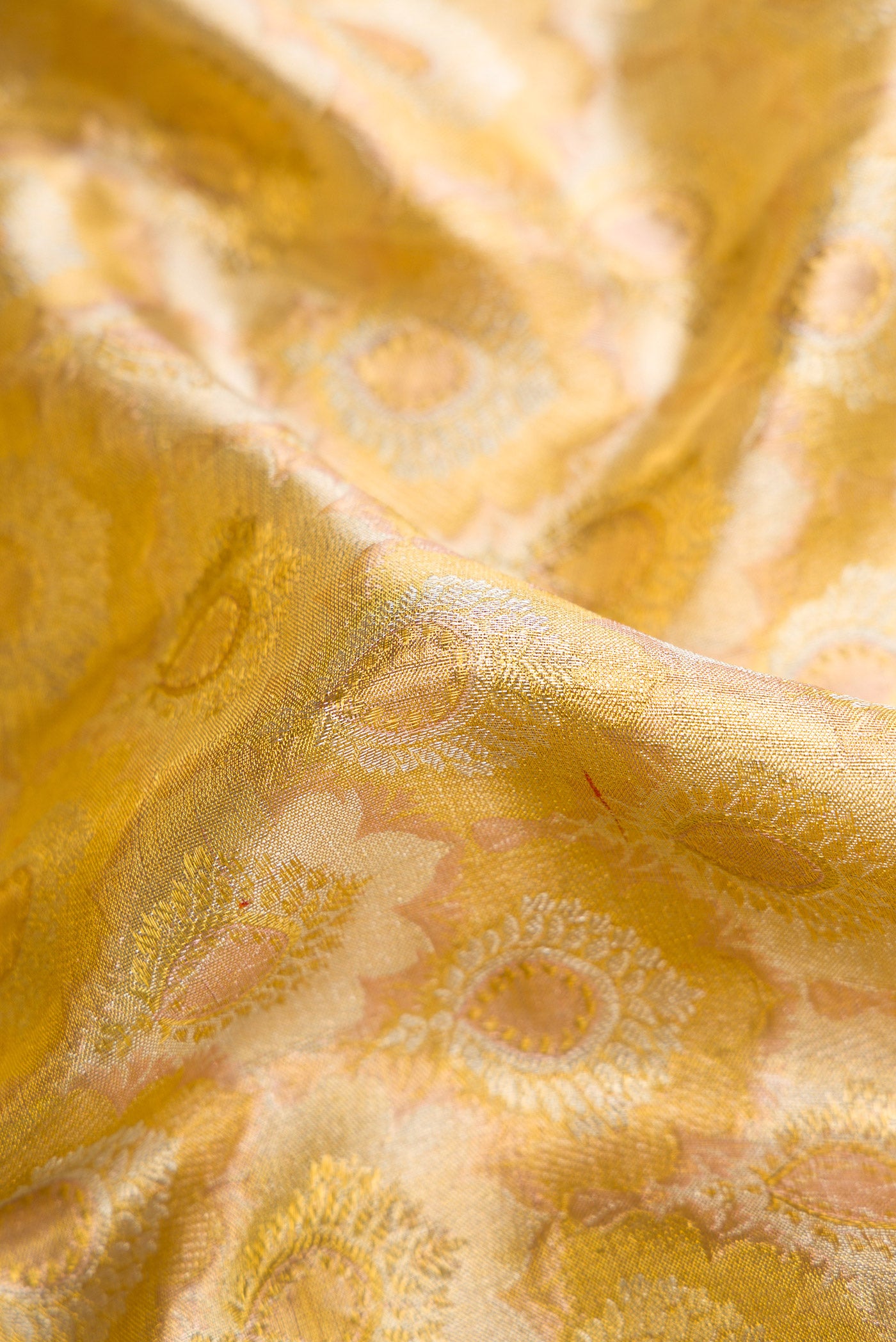 Close up of Gold Dual Tone Kanjivaram Tissue Silk Saree with Zari Brocade on the body and Zari Border.  displaying folds