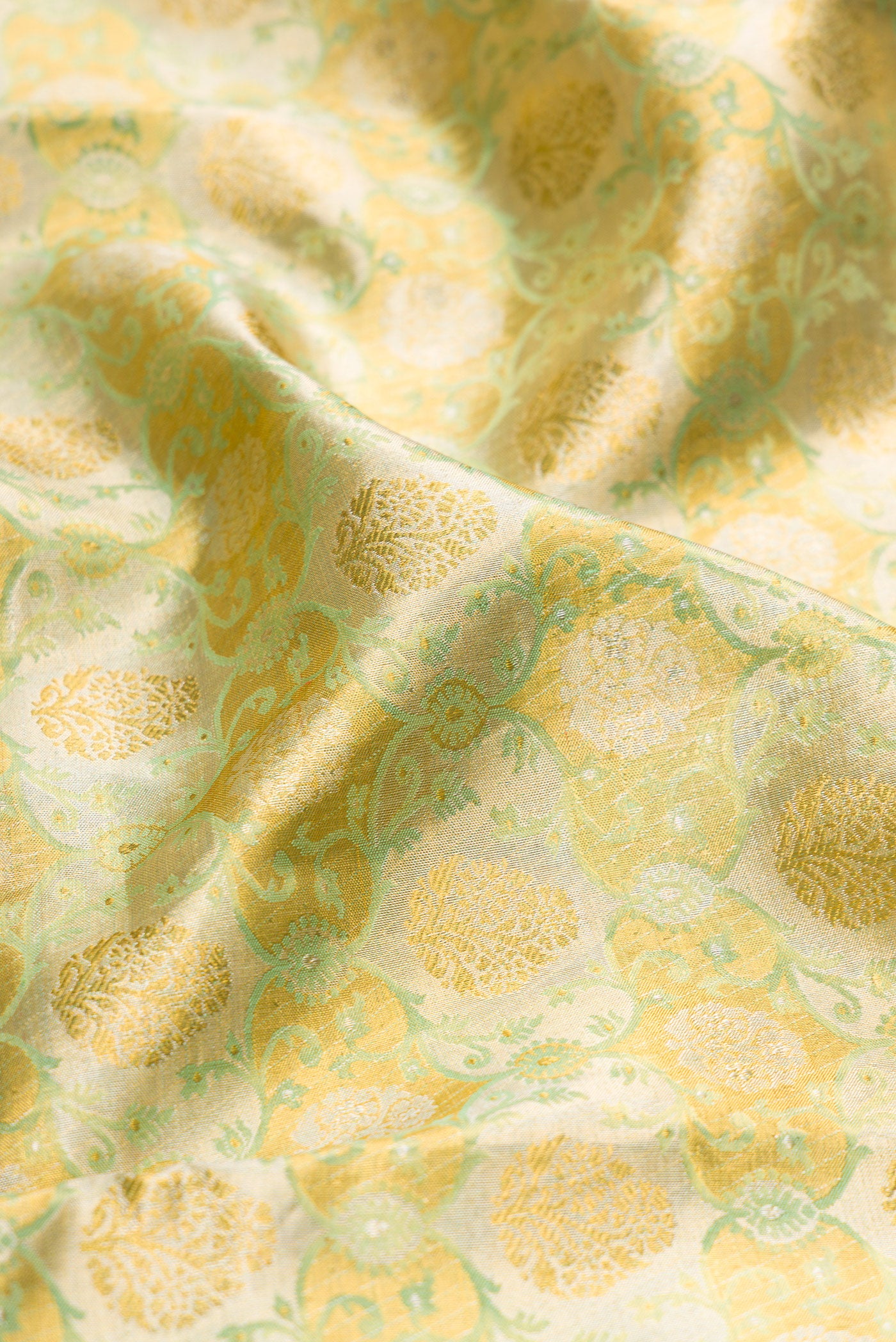 Close up of Pista Green Dual Tone Kanjivaram Tissue Silk Saree with Zari Brocade on the body and Zari Border.  displaying folds