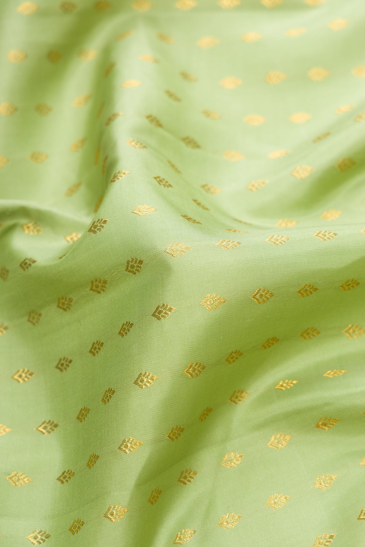 Close up of Pista Green Dual Tone Kanjivaram Silk Saree with Zari Butta on the body and Fancy Border.  displaying folds