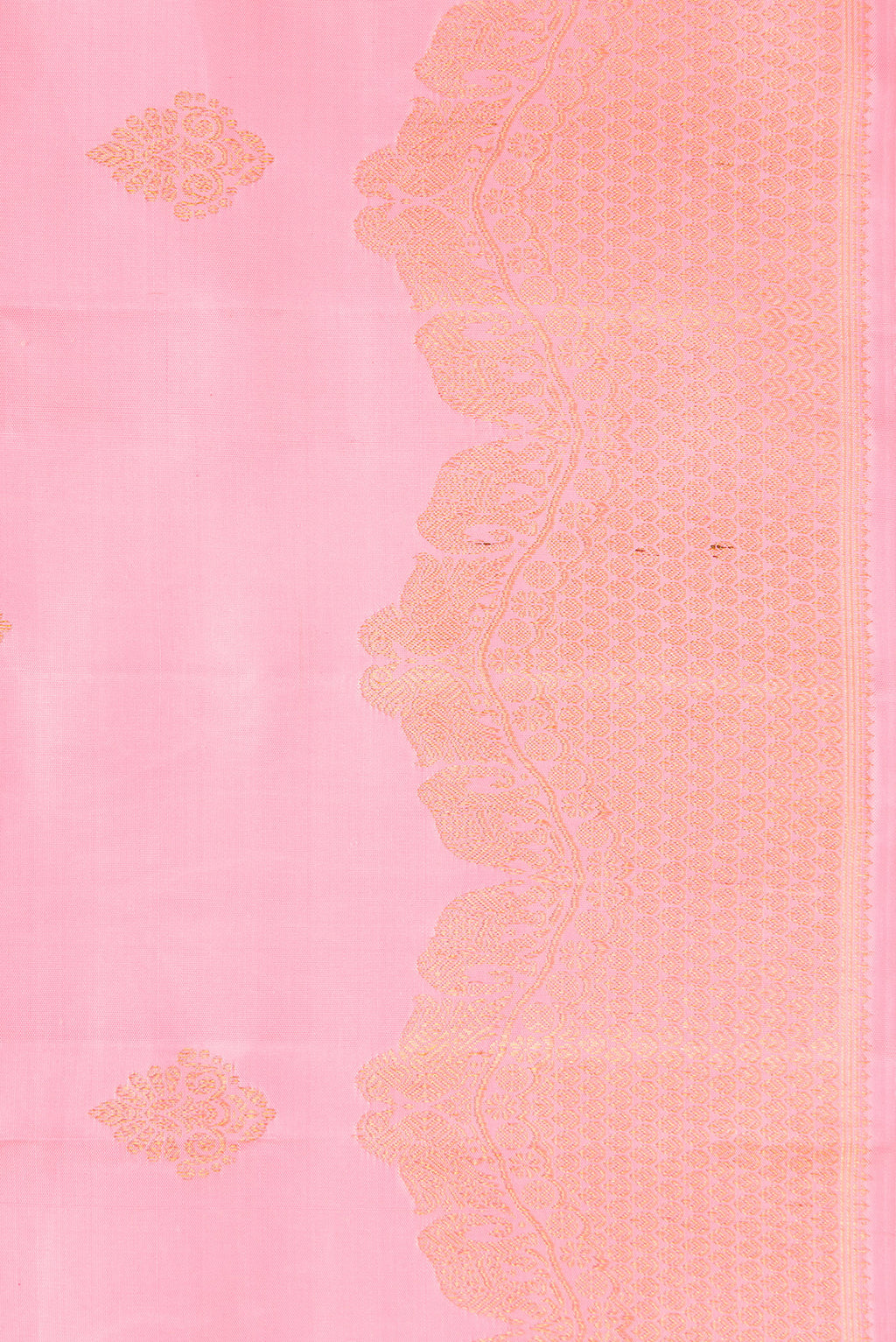 Border image of Pink Dual Tone Kanjivaram Silk Saree with Zari Butta on the body and Fancy Border. 