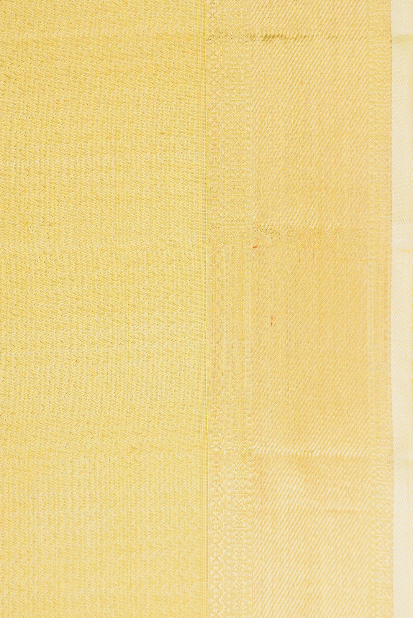 Border image of Lemon Yellow Dual Tone Kanjivaram Silk Saree with Zari Brocade on the body and Zari Border. 