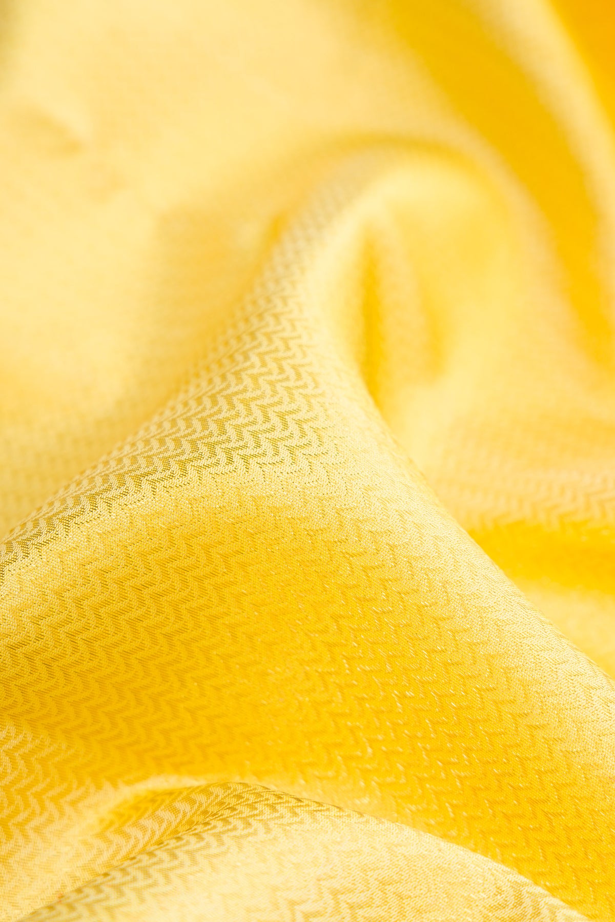 Close up of Lemon Yellow Dual Tone Kanjivaram Silk Saree with Zari Brocade on the body and Zari Border.  displaying folds