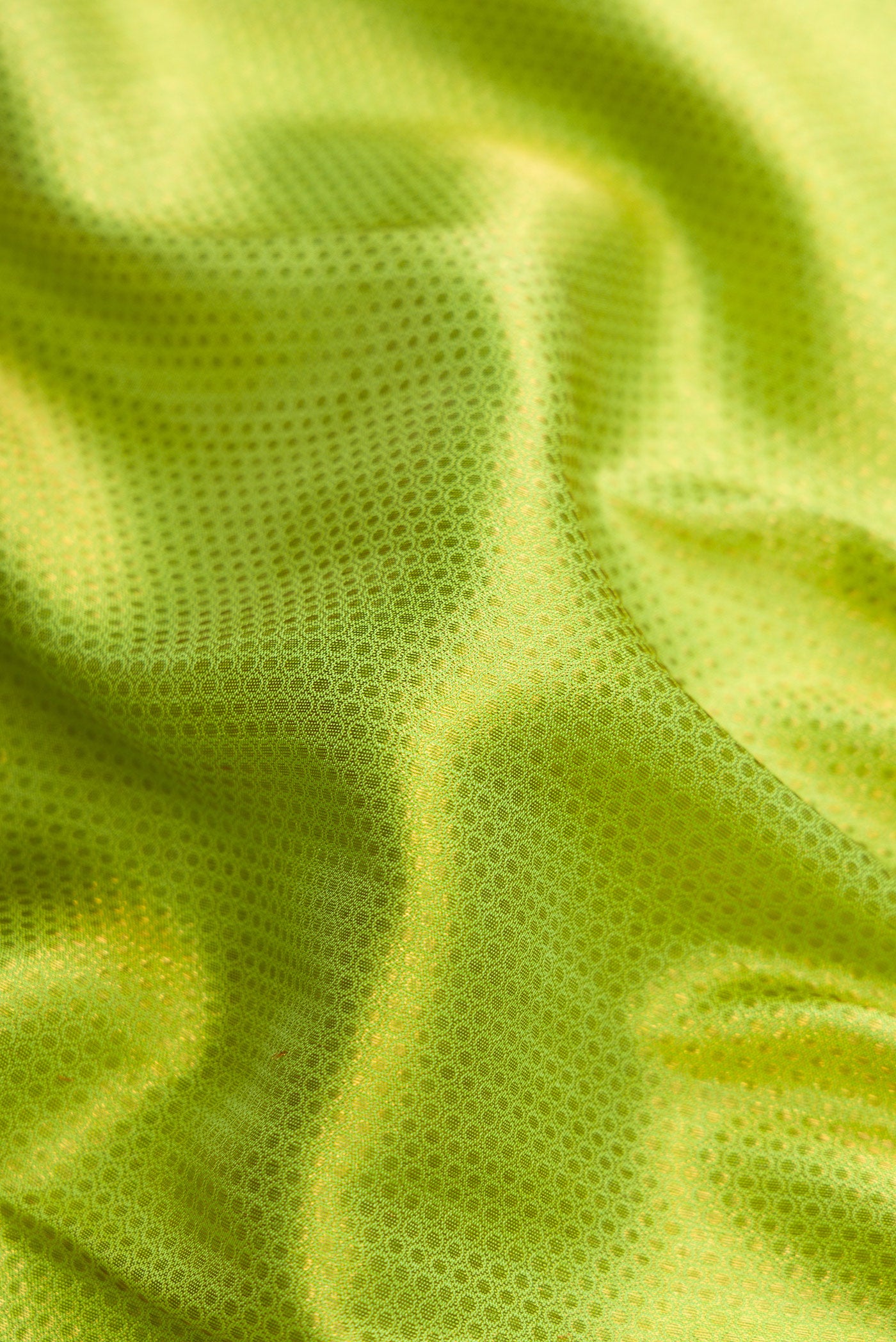 Close up of Parrot Green Dual Tone Kanchipuram Silk Saree with Zari Brocade on the body and Zari Border.  displaying folds