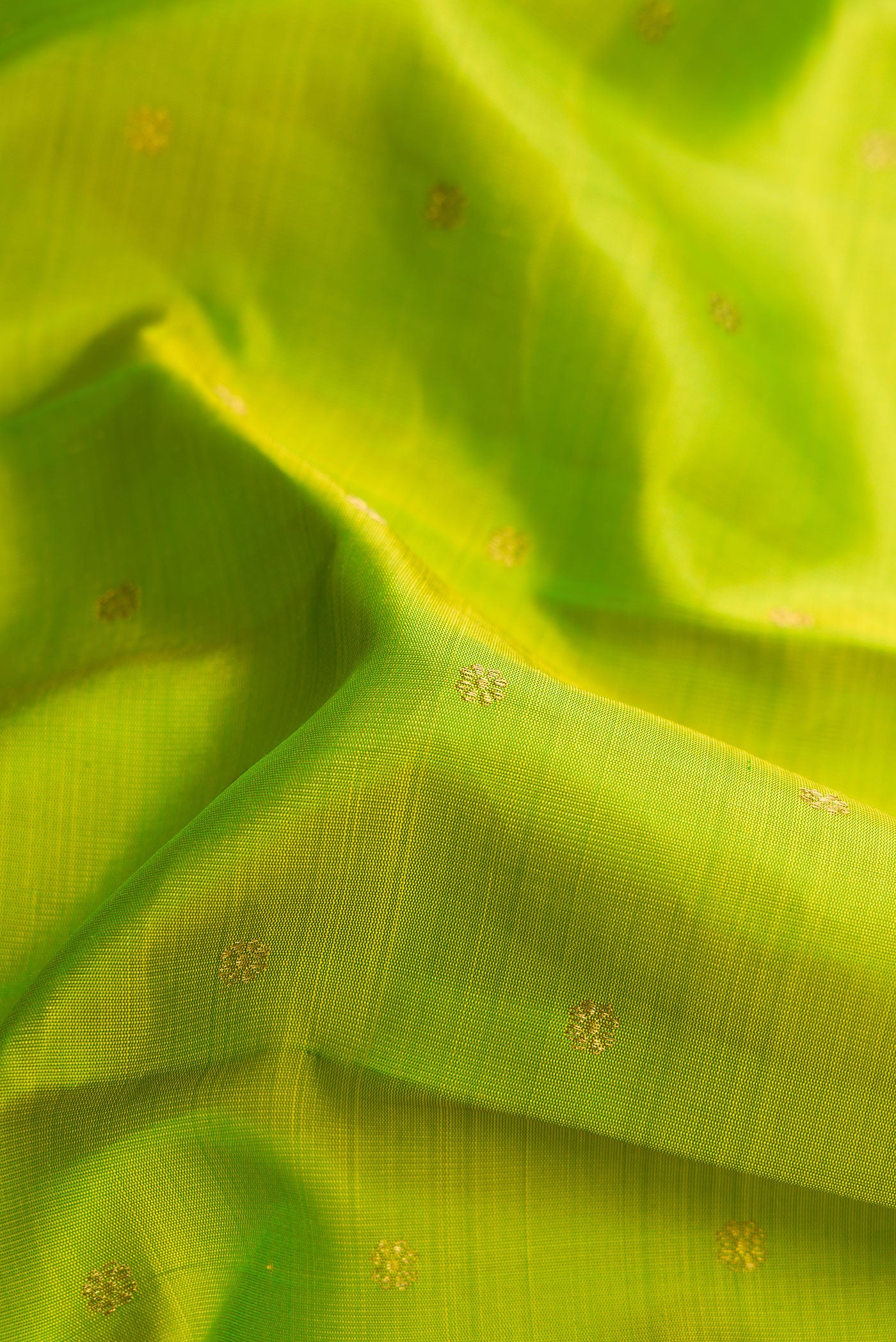 Close up of Pure Silk Pure Zari Parrot Green Dual Tone Kanjivaram Saree with Zari Butta on the body and Zari Border.  displaying folds