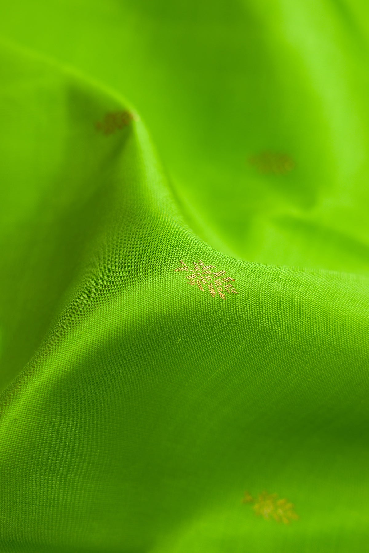Close up of Pure Silk Pure Zari Parrot Green Dual Tone Kanjivaram Saree with Zari Butta on the body and Zari Border.  displaying folds
