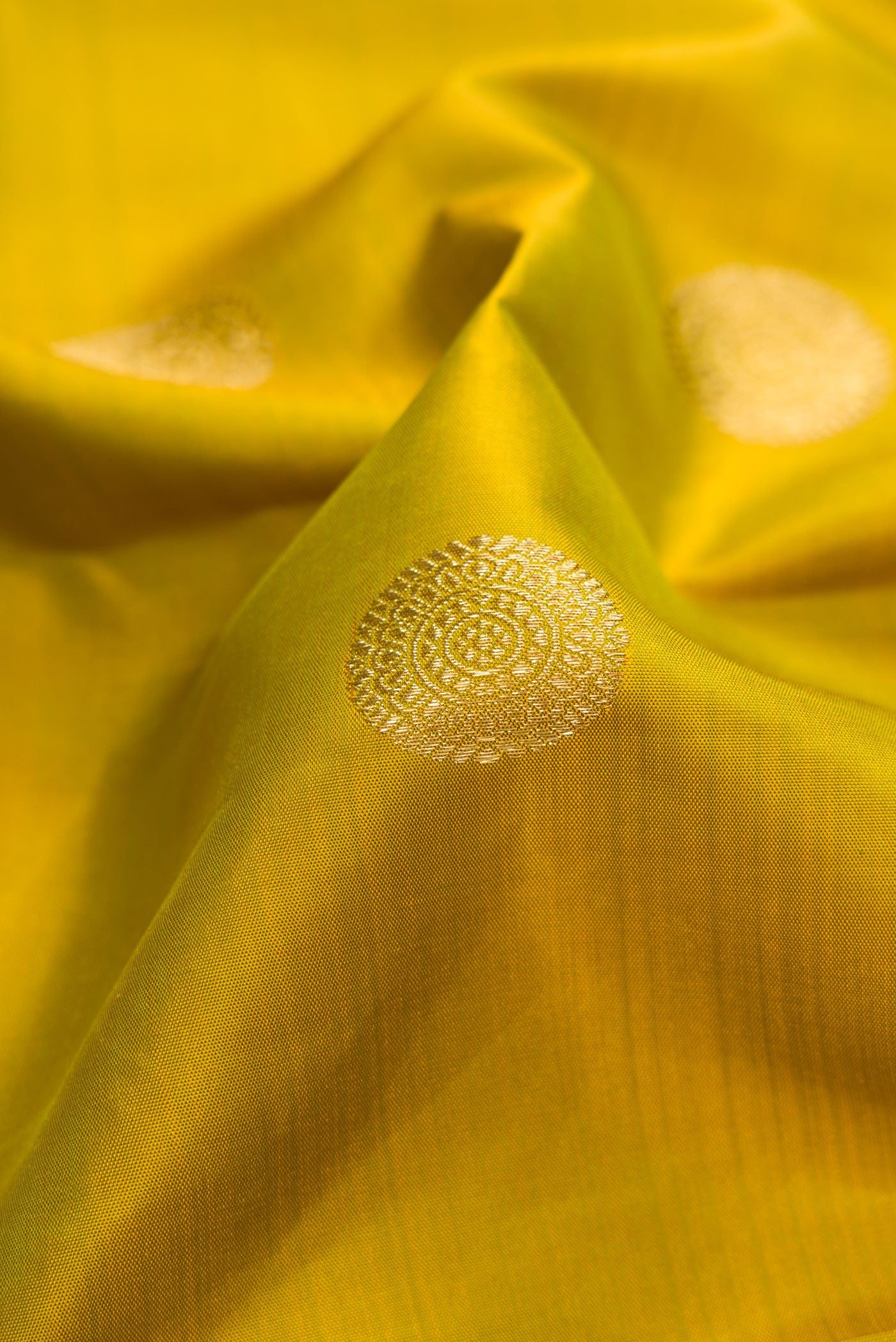 Close up of Pure Silk Pure Zari Mehandi Green Kanjivaram Saree with Zari Butta on the body and Zari Border.  displaying folds