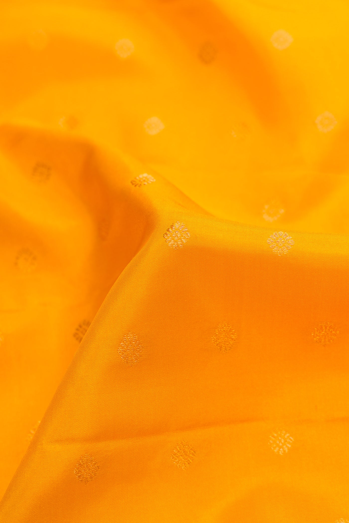 Close up of Mustard Dual Tone Gadwal Silk Saree with Zari Butta on the body and Zari Border.  displaying folds