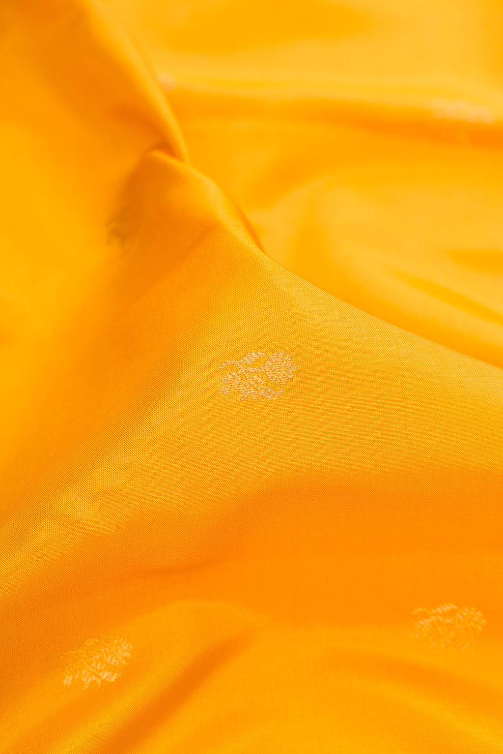 Close up of Mustard Gadwal Silk Saree with Zari Butta on the body and Zari Border.  displaying folds